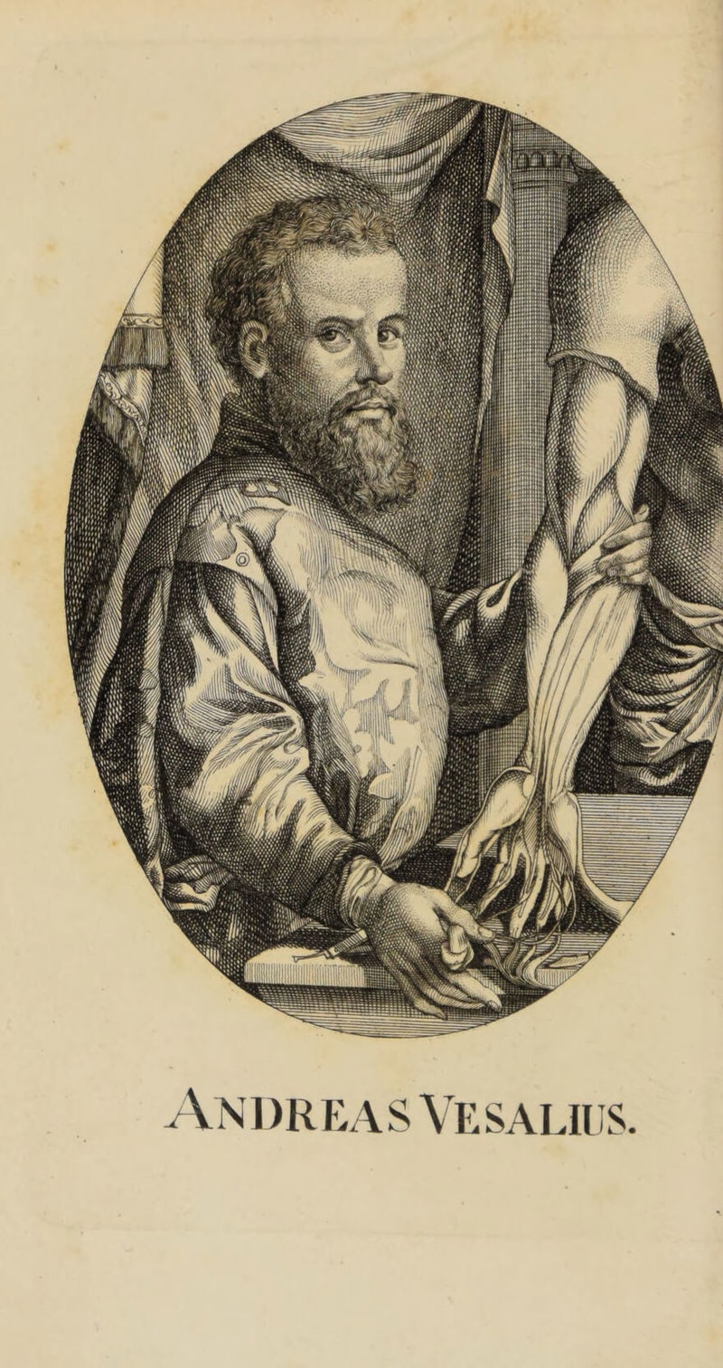 Andreas Vesalius.