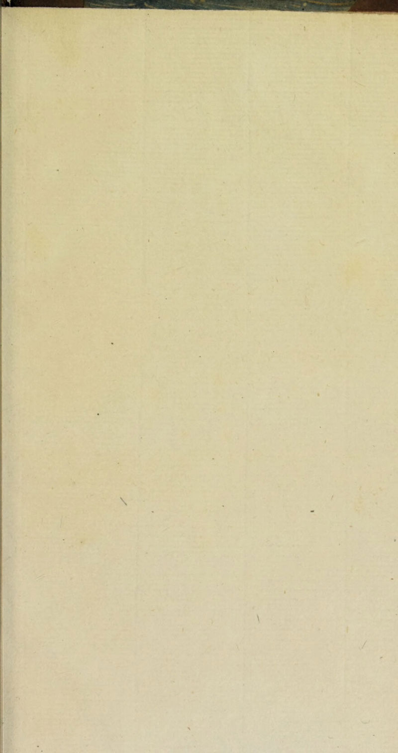 i ) f \  \ r I ‘ ■ \ Ai. r / V t / >w'