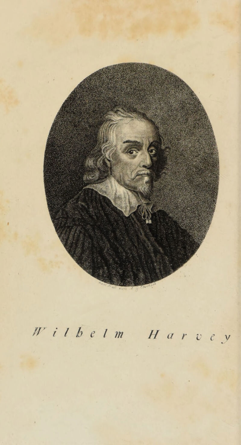 ^filhelrn H a / L C V