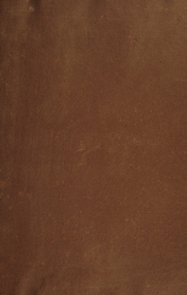 digitised image 3
