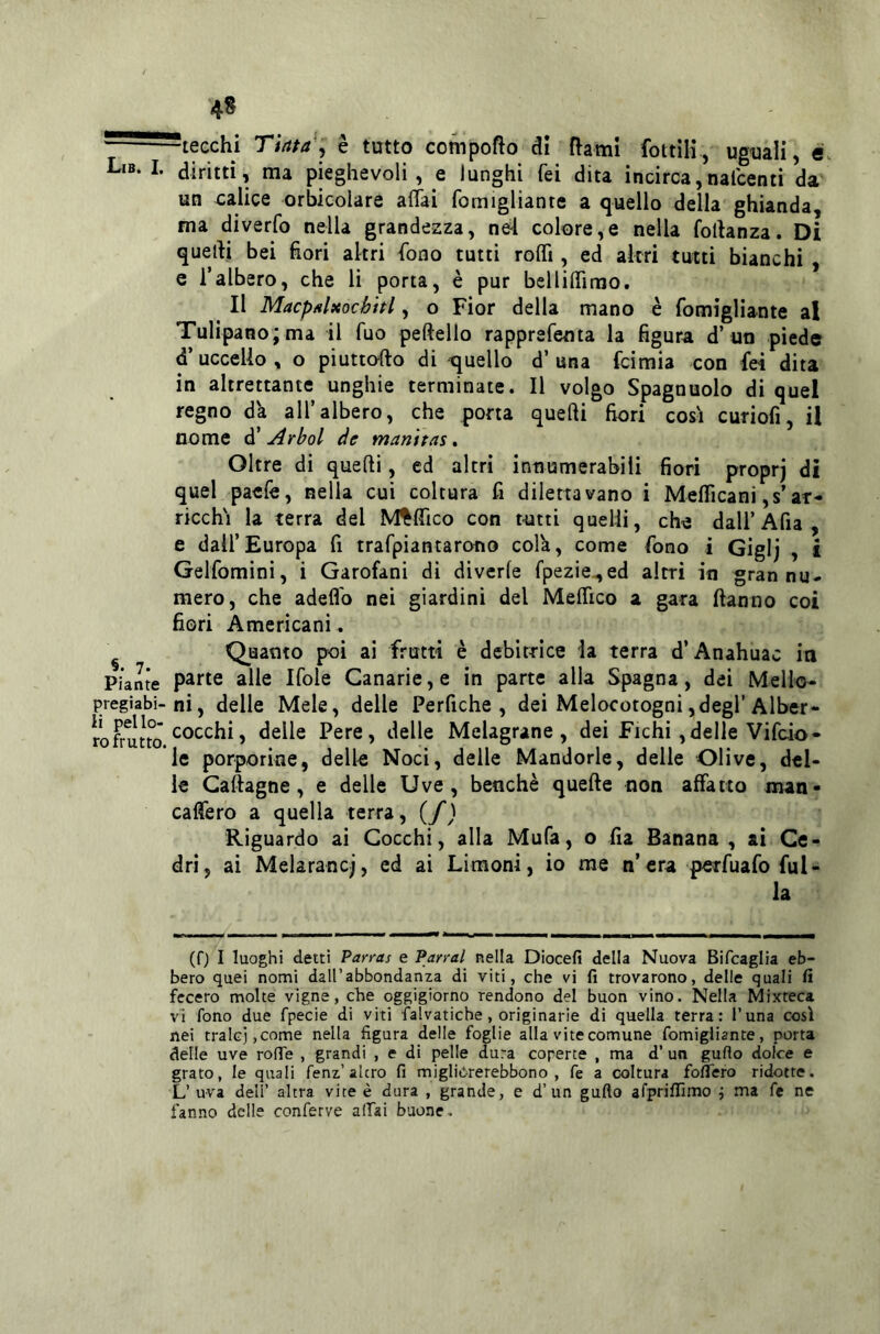 -tecchi Tìnta., è tutto compofto di ftami fottili, uguali, Lib-I. diritti, ma pieghevoli, e lunghi Tei dita incirca,nalcenti da un calice orbicolare alTai fomigliante a quello della ghianda, ma diverfo nella grandezza, nei colore,e nella folhnza. Di quedi bei fiori altri fono tutti rofli, ed altri tutti bianchi , e Talbero, che li porta, è pur bellilTimo. Il Macp/ilxochitl, o Fior della mano è fomigliante al Tulipano; ma il Tuo peftello rapprefenta la figura d’un piede d’uccello, o piuttofto di quello d’una fcimia con fei dita in altrettante unghie terminate. Il volgo Spagnuolo di quel regno da all’albero, che porta quelli fiori così curiofi, il nome à' Arbol de manìtas, Oltre di quelli, ed altri intiumerabili fiori proprj di quel paefe, nella cui coltura fi dilettavano i Meflicani ,s’ar- ricchì la terra del M^lTico con tutti quelli, che daU’Afia, e dall’Europa fi trafpiantarono cola, come fono i Giglj , i Gelfomini, i Garofani di diverle fpezie^ed altri in gran nu- mero, che adefl'o nei giardini del MelTico a gara Hanno coi fiori Americani. ^ Quanto poi ai frutti è debitrice ia terra d’Anahuac ia Piante alle Ifole Canarie, e in parte alla Spagna, dei Mello- pregiabi-ni, delle Mele, delle Perfiche , dei Melocotogni,degl’Alber- cocchi, delle Pere, delle Melagrane, dei Fichi,delle Vifcio- le porporine, delle Noci, delle Mandorle, delle Olive, del- le Gaftagne, e delle Uve, benché quefte non affatto man- caffero a quella terra, (/) Riguardo ai Cocchi, alla Mufa, o fia Banana , ai Ce- dri, ai Melarancj, ed ai Limoni, io me n’era perfuafo fal- la (0 I luoghi delti Parras e Parrai nella Diocefi della Nuova Bifcaglia eb- bero quei nomi dall’abbondanza di viti, che vi fi trovarono, delle quali fi fecero molte vigne, ciré oggigiorno rendono del buon vino. Nella Mixteca vi fono due fpecie di viti falvatiche, originarie di quella terra: l’una così nei tralci, come nella figura delle foglie alla vite comune fomigliante, porta delle uve rofie , grandi , e di pelle dura coperte , ma d’ un gufio dolce e grato, le quali fenz’alerò fi migliòrerebbono , fe a coltura fofiero ridotte. L’ uva deli’ altra vite è dura , grande, e d’un gufio arprifiìmo j ma fe ne fanno delle conferve alTai buone.