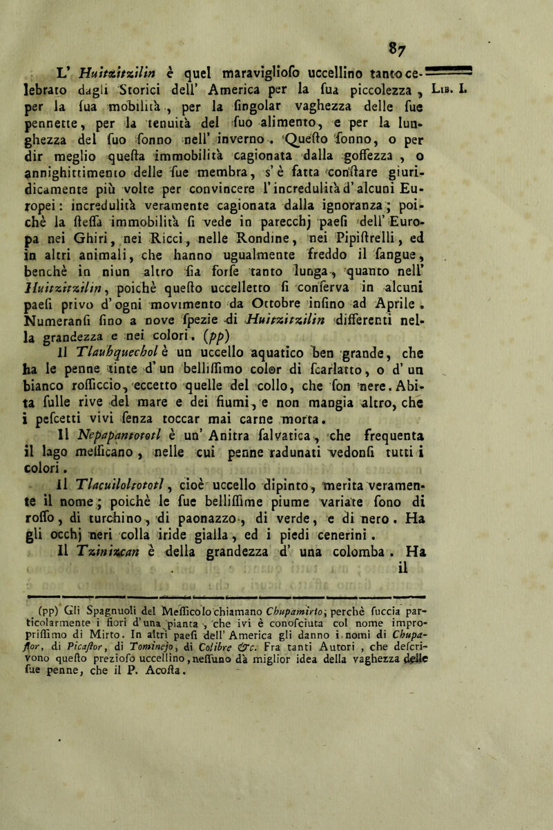 L’ HultAttzUìn è quel maravìgliofo uccellino tanto ce- lebrato dagli Storici dell’ America per la fua piccolezza , Lib* I» per la fua moljilita , per la fingolar vaghezza delle fue pennette, per la tenuità del fuo alimento, e per la lun- ghezza del fuo «fonno meli’ inverno . 'Quello fonno, o per dir meglio quella immobilità cagionata dalla goffezza , o annighittimento delle fue membra, s’è fatta ronfiare giuri- dicamente più volte per convincere l’incredulità d’alcuni Eu- ropei : incredulità veramente cagionata dalla ignoranza ; poi- ché la ftelfd immobilità fi vede in parecchj paefi 'dell’Euro- pa nei Ghiri, nei Ricci, nelle Rondine, nei 'Pipillrelli, ed in altri animali, che hanno ugualmente freddo il fangue, benché in niun altro fia forfè tanto 'lunga , quanto nell’ lluit7:ir%Hin ^ poiché quello uccelletto fi conferva in alcuni paefi privo d’ogni movimento da Ottobre tnfino ad Aprile . Numeranfi fino a nove fpezie di dilFercnti nel- la grandezza e nei colori, {pp) li Tlauhquethol è un uccello aquatico ben grande, che ha le penne tinte d’un bellilfimo color di fcarlatto, o d’ un bianco rolficcìo,'eccetto quelle del collo, che fon nere. Abi- ta filile rive del mare e dei fiumi^ e non mangia altro, che i pcfcetti vivi fenza toccar mai carne morta. Il NepapanfotQtl é un’ Anitra fai valica , xhe frequenta il lago melficano , nelle cui penne radunati vedonfi tutti i colori. Il TlacuiloUototì ^ cioè uccello dipinto, merita veramen- te il nome ; poiché le fue bellilfime piume variate fono di rolfo, di turtÀinG, 'di paonazzo-, di verde, e di nero. Ha gli occh) neri colla iride gialla, ed i piedi cenerini. Il T7^nt%cm é della grandezza d’ una colomba . Ha il _ Tpp) Gli Spagnuoli del MefficoIo chiamano Chupàmirto\ perchè feccia par- ticolarmente i fiori d’una pianta-, che ivi è conofeiuta col nome impro- priflìmo di Mirto. In altri paefi dell’America gli danno i nomi di Chupa- flpr, di Vicaftor, di Tomìnejo, di Colibre &c. Fra tanti Autori , che deferi- vono quello preziofo uccellino ,neiruno dà miglior idea della vaghezza fue penne, che il P. Acofia.