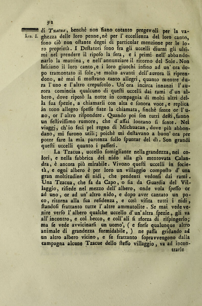 va- p2 di Tzacua^ benché non liano cotanto pregevoli per la ghezza delle loro penne,nè per 1’ eccellenza del loro canto, fono ciò non ottante degni di particolar menzione per le lo- ro proprietà. I Dettatori fono fra gli uccelli diurni gli ulti- mi nel prendere il ripofo la fera, e i primi nell’abbando- narlo la mattina, e nell’annunziare il ritorno del Sole. Non lafciano il loro canto,e i loro giuochi infino ad un’ora do- po tramontato il fole,’*e molto avanti dell’aurora li ripren- dono, aè mai fi mottrano tanto allegri, quanto mentre du- ra l’uno e l’altro crepufcolo. Un’ora incirca innanzi l’au- rora comincia qualcuno di quelli uccelli dai rami d’un al- bero, dove riposò la notte in compagnia di molti altri del- la fua fpezie, a chiamarli con alta e fonora voce, e replica in tono allegro fpefle fiate la chiamata, finché fente or l’u- no, or l’altro rifpondere. Quando poi fon tutti detti, fanno un feftiviffìmo rumore, che d’affai lontano fi fente. Nei viaggj, ch’io feci pel regno di Michuacan, dove più abbon- dano, mi furono utili; poiché mi dettavano a buon’ora per poter fare la mia partenza fuUo fpuntar del di. Son grandi quelli uccelli quanto i paiferi. La Tzacua, uccello fomigliante nella grandezza, nei co- lori, e nella fabbrica dei nido alla gik mentovata Calan- dra, è ancora più mirabile. Vivono quelli uccelli in focie- tù, e ogni albero é per loro un villaggio compotto d’ una gran moltitudine di nidi, che pendenti vedonfi dai rami. Una Tzacua, che fa da Capo, o fia da Guardia dei Vil- laggio, rifiede nel mezzo dell’ albero, onde vola fpelfo or ad uno, or ad un’ altro nido, e dopo aver cantato un po- co, ritorna alla fua refidenza, e cosi vifita tutti i nidi, flandofi frattanto tutte 1’ altre ammutolite . Se mai vede ve- nire verfo l’albero qualche uccello d’un’altra fpezie, gli va all’incontro, e col becco, e coll’ali fi sforza di rifpingerlo; ma fe vede avvicinarli un uomo', ( e forfè qualunque altro animale di grandezza formidabile, ) ne pa^a gridando ad un altro albero vicino, e fe frattanto fopravvengono dalla campagna alcune Tzacue dello ttettb villaggio, va ad incon- trarle