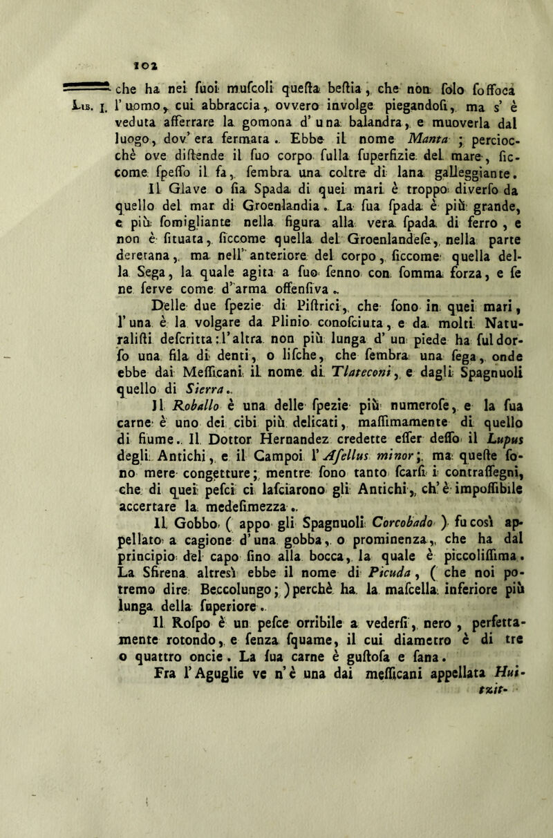 che ha nei fuoi mufcoli quefta beflìa,, che nòn. fólo foffoca i-iB. I. riiomo^ cui abbraccia,, ovvera involge piegandofi,. ma s è veduta afferrare la gomona d’una. balandra, e muoverla dal luogo, dov’era fermata.. Ebbe il nome Manta ; percioc- ché ove difende il fuo corpo fulla fuperfizie del. mare , fic- come, fpefifo il fa, fembra una coltre di lana galleggiante. Il Glave o fia Spada di quei mari è troppo diverfo da quello del mar di Groenlandia. La fua fpada è piiS: grande, c piti fomigliante nella figura alla vera fpada di ferro , c non è fituata, ficcome quella dei Groenlandefe,, nella parte deretana,, ma nell’anteriore, del corpo,, ficcome- quella del- la Sega, la quale agita a fuo< fenno. con. fomma forza, e fe ne ferve come d’ arraa offenfiva .. Delle due fpezie di Piftrici,, che fono in: quei mari, Luna è la volgare da Plinio conofciuta, e da molti Natu- ralifti defcritta : l’ altra, non più lunga d’ uni piede ha fuldor- fo una fila di denti, o lifche, che fembra una fega, onde ebbe dai Mefficani il nome di Tlateconi y e dagli Spagnuoli quello di Sierra,, Jl Roballo è una delle fpezie più- numerofe, e la fua carne- è uno dei cibi più delicati, mairimamente di quello di fiume,. Il Dottor Hernandez credette effer deffo' il Lupus degli Antichi, c il Campoi, V Afellus minor;, ma quelle fo- no mere congetture mentre fono tantO) fcarfi^ i contraffegnì, che di quei pefci ci lafciarono gli Antichi ,, ch’è impoflìbile accertare la. medefimezza.. Il Gobbo. ( appo gli Spagnuoli; Corcobado ) fu cosi ap- pellato; a cagione d’una gobba,, o prominenza,, che ha dal principio del capo fino alla bocca, la quale è piccoliifima. La Sfirena altresì ebbe il nome di Picuda, ( che noi po- tremo dire Beccolungo ; ) perchè ha. la mafcella. inferiore più lunga della fuperioré.. Il Rofpo è un pefce orribile a vederli, nero , perfetta- mente rotondo,, e fenza fquame, il cui diametro c di tre o quattro oncie. La fua carne è guflofa e fana. Fra l’Aguglie ve nè una dai mefilcani appellata H»i- r»/>-