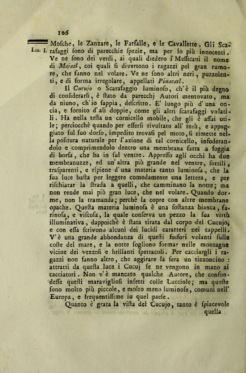 Mofche, le Zanzare, le Farfalle, e le Cavallette, Gli Sca- • rafaggi fono di parecchie fpezie, ma per lo più innocenti. Ve ne fono dei verdi, ai quali diedero i Mefficani il nome di Majati-i coi quali fi divertono i ragazzi pel gran rumo- re, che fanno nel volare. Ve ne fono altri neri, puzzolen- ti, e di forma irregolare, appellati PinacatU il Cucujo o Scarafaggio luminofo, eh’è il più degno di conhderarfi, è flato da parecchj Autori mentovato, ma da niuno, ch’io fappia, deferitto. E’ lungo più d’una on- cia, e fornito d’ali doppie, come gli altri fearafaggi volati- li. Ha nella teda un cornicello mobile, che gli è affai uti- le; perciocché quando per efferfi rivoltato all’ iniù, e appog- giato fui fuo dorfo, impedito trovafi pel moto,fi rimette nel- la pofitura naturale per l’azione di tal cornicello, infoderan- dolo e comprimendolo dentro una membrana fatta a foggia di borfa, che ha in fui ventre. Appreffo agli occhi ha due xnembranuzze, ed un’altra più grande nel ventre, fottili, trafparenti, e ripiene d’ una materia tanto luminofa, che la fua luce bada per leggere comodamente una lettera, e per rifehiarar la drada a quelli, che camminano la notte; ma non rende mai più gran luce, che nel volare. Quando dor- me, non la tramanda ; perchè la copre con altre membrane opache. Queda materia luminofa è una fodanza bianca, fa- rinofa, e vifeofa, la quale conferva un pezzo la fua virtù illuminativa, dappoiché è data tirata dal corpo del Cucujo, e con effa fcrivono alcuni dei lucidi caratteri nei cappelli. V’è una grande abbondanza di quedì fosfori volanti dille code del mare, e la notte fogliono formar nelle montagne vicine dei vezzofì e brillanti fpettacoli. Per cacciargli i ra- gazzi non fanno altro, che aggirare la fera un tizzoncino : attratti da queda luce i Gucuj fe ne vengono in mano ai cacciatori. Non v’è mancato qualche Autore, che confon- deffe quedi maravigliofi infetti colle Lucciole; ma quede fono molto più piccole, e molto meno luminofe, comuni nell’ Europa, e frequentiffime iu quel paefe. Quanto è grata la vida dei Cucujo, tanto è fpiacevole quella