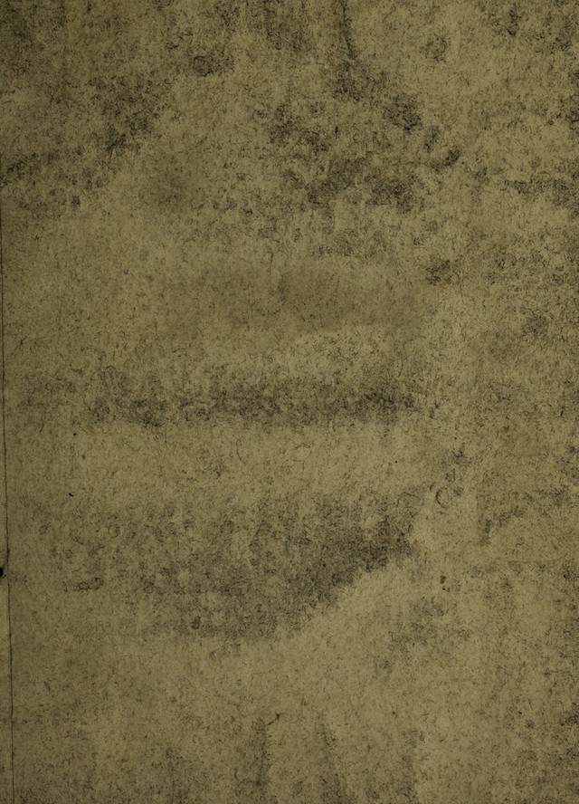 digitised image 1