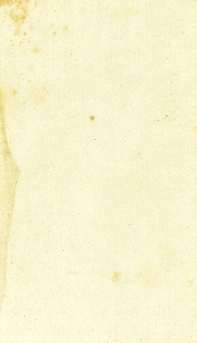 digitised image 2