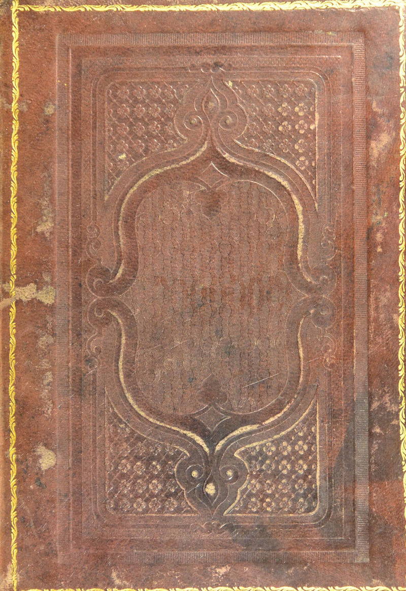 No text description is available for this image