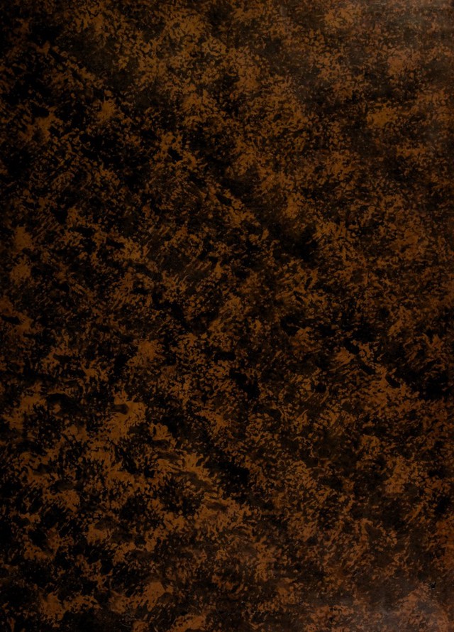 digitised image 1