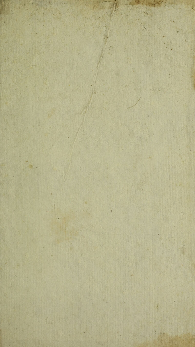 y- '< 'y ^ y* ■X ;î^ , ■J r f- >