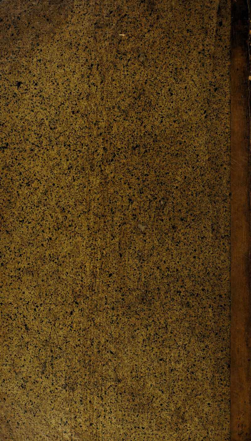 ‘V '-4 :V‘jbyr'i &amp;*£**>>; d#w w?tï lÉÉiil m .j-\' V. *,4 ♦!» ; rf*Y„< % -CjT' >?•,. yiï' '¥t '•.>%«•v*’** ■ '«sSffisp. i,V- *- itt4fr**ï; «?/> .\'ï7',•;■«•£• >.i'.v»v fiiJVïw >-WW< vi. ;./.v -*n * < v- * .< Sltfv v iiSfe-Tfrj&amp;'fr ?jv K.è \viWtèi3fc mtfoz ff»* H? ** ffr*'. ,#i $JtV*, Vv !-‘.L-ï . * .; (SV:*&amp;*!&amp;' Jitfk*'-r-'-'Sï‘V' '^‘;fv#-'**■►«&amp;''ï:,-*j>'%i^.>/' 'W'-^-SSs ;>- ■;« f Jt fc»-*ïv0 -• — rTvnrry., . Jf.' •V» v*I* J» •, i’ $*Y< ,. w • 4if : •- V v&amp;'ihjttfc W&amp;rétv