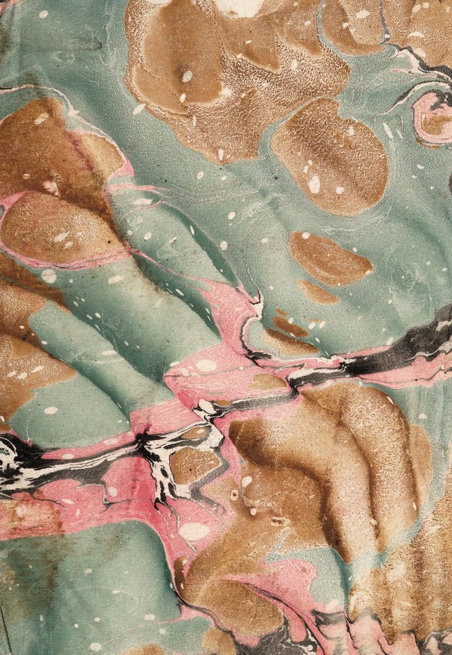 No text description is available for this image