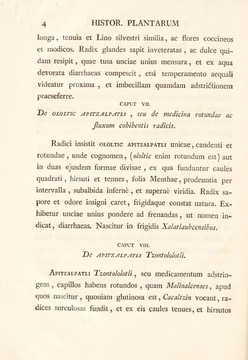 longa, tenuia et Lino silvestri similia, ac flores coccineos et modicos. Radix glandes sapit inveteratas, ac dulce qui- dam resipit, quae tusa unciae unius mensura, et ex aqua devorata diarrhaeas compescit, etsi temperamento aequali videatur proxima , et imbecillam quamdam adstridionem praeseferre. CAPUT Vir. IDe OLOLTic ^piTz^LP^TLT , seu de medicina rotundae ac Jluxum cohibentis radicis. i Radici insistit ololtic atitzalpatli unicae, candenti et rotundae, unde cognomen, [ololtic enim rotundum est) aut in duas ejusdem formae divisae , ex qua funduntur caules quadrati, hirsuti et tenues, folia Menthae, prodeuntia per intervalla , subalbida inferhe, et superne viridia. Radix sa- pore et odore insigni caret, frigidaque constat natura. Ex- hibetur unciae unius pondere ad frenandas, ut nomen in- dicat, diarrhaeas. Nascitur in frigidis Xalatlauhcensibus. CAPUT VI II. De APiTZALPATLi TzontololotU. Apitzaupatli TzontololotU, seu medicamentum adstrin- gens, capillos habens rotundos , quam Malinalcenses, apud quos nascitur, quoniam glutinosa est, Cacaltzin vocant, ra- dices surculosas fundit, et ex eis caules tenues, et hirsutos