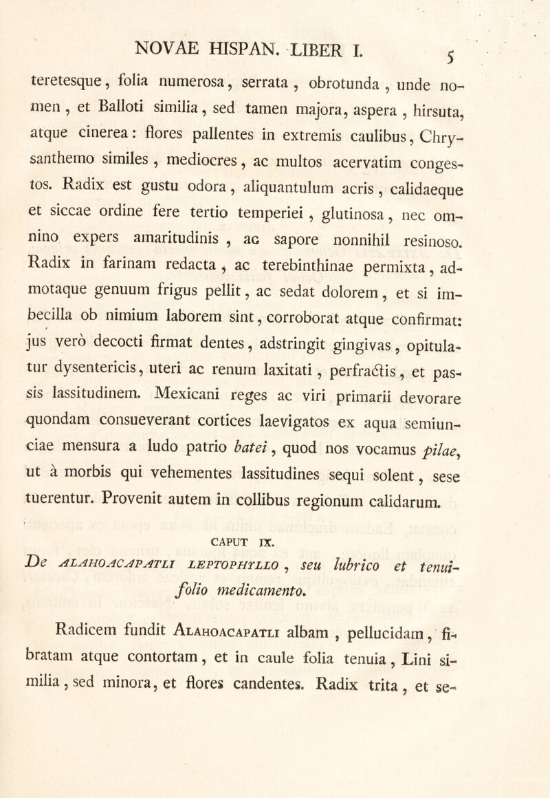 teretesque, folia numerosa, serrata , obrotunda , unde no- men, et Balloti similia, sed tamen majora, aspera , hirsuta, atque cinerea: flores pallentes in extremis caulibus, Chry- santhemo similes , mediocres, ac multos acervatim conges- tos. Radix est gustu odora, aliquantulum acris, calidaeque et siccae ordine fere tertio temperiei, glutinosa, nec om- nino expers amaritudinis , ac sapore nonnihil resinoso. Radix in farinam redacta , ac terebinthinae permixta, ad- motaque genuum frigus pellit, ac sedat dolorem, et si im- becilla ob nimium laborem sint, corroborat atque confirmat: jus vero decocti firmat dentes, adstringit gingivas, opitula- tur dysentericis, uteri ac renum laxitati, perfradlis, et pas- sis lassitudinem. Mexicani reges ac viri primarii devorare quondam consueverant cortices laevigatos ex aqua semiun- ciae mensura a ludo patrio batei, quod nos vocamus pilae^ ut a morbis qui vehementes lassitudines sequi solent, sese tuerentur. Provenit autem in collibus regionum calidarum. CAPUT IX. De ALAHOAC^PATLi LEPTOPHTLLO, seu lubvico et temi- folio medicamento. Radicem fundit Alahoacapatli albam , pellucidam, fi- bratam atque contortam, et in caule folia tenuia, Lini si- milia , sed minora, et flores candentes. Radix trita , et se-