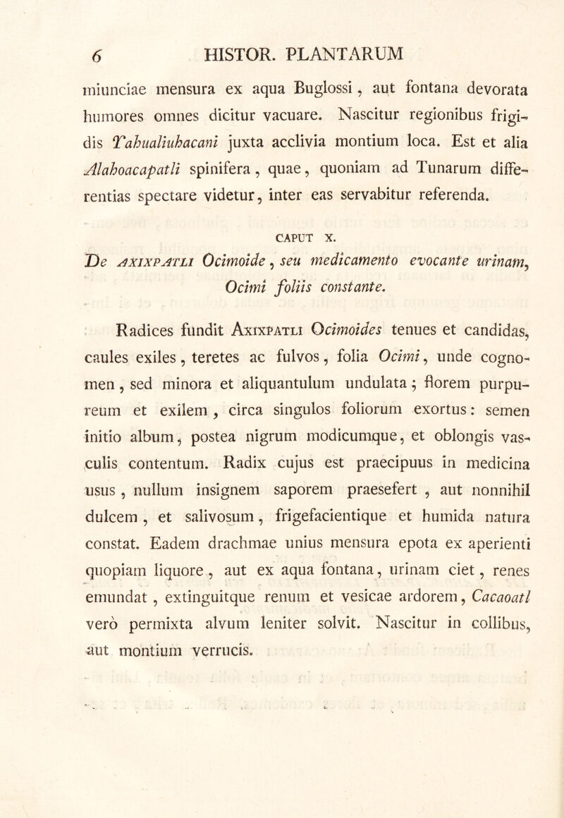 miunciae mensura ex aqua Buglossi, aut fontana devorata humores omnes dicitur vacuare. Nascitur regionibus frigi- dis Tahualmhacani juxta acclivia montium loca. Est et alia AlahoacapatU spinifera, quae, quoniam ad Tunarum diffe- rentias spectare videtur, inter eas servabitur referenda. CAPUT X. De ^xixPj^tli Ocimoide, seu medicamento evocante urinam^ Ocimi foliis constante. ; Radices fundit Axixpatli Ocimoides tenues et candidas, caules exiles, teretes ac fulvos, folia Ocimi, unde cogno- men , sed minora et aliquantulum undulata ^ florem purpu- reum et exilem, circa singulos foliorum exortus; semen initio album, postea nigrum modicumque, et oblongis vas- culis contentum. Radix cujus est praecipuus in medicina usus, nullum insignem saporem praesefert , aut nonnihil dulcem , et salivosum, frigefacientique et humida natura constat. Eadem drachmae unius mensura epota ex aperienti quopiam liquore , aut ex aqua fontana, urinam ciet, renes emundat, extinguitque renum et vesicae ardorem, Cacaoatl vero permixta alvum leniter solvit. Nascitur in collibus, aut montium verrucis.