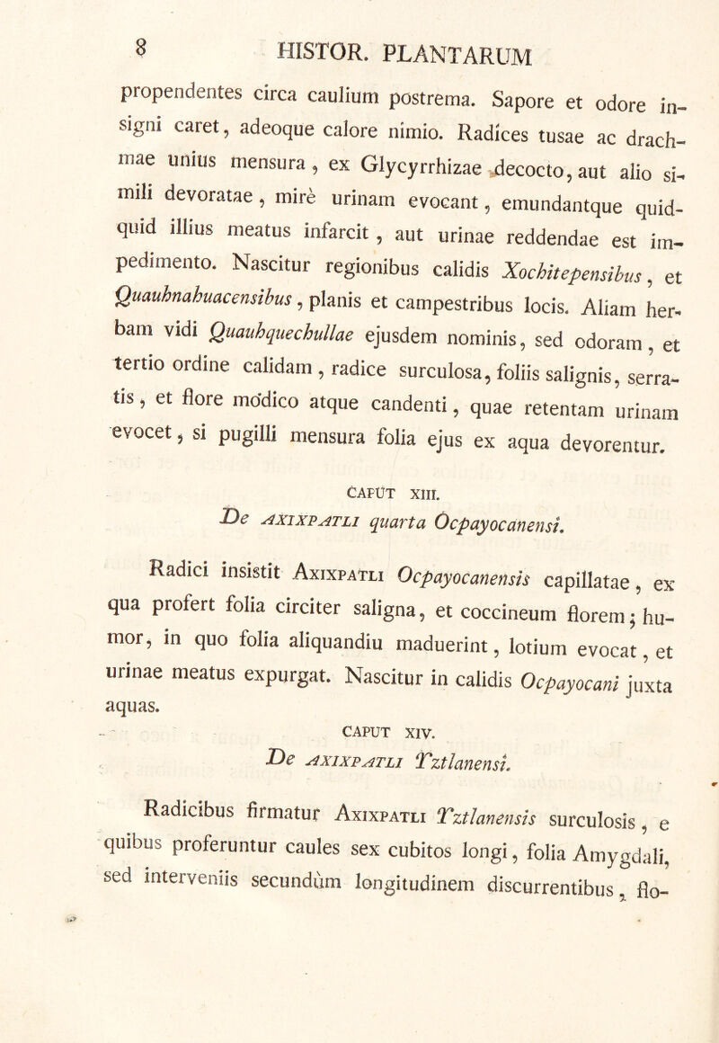 propendentes circa caulium postrema. Sapore et odore in- signi caret, adeoque calore nimio. Radices tusae ac drach- mae unius mensura, ex Glycyrrhizae decocto,aut alio si- mili devoratae, mire urinam evocant, emundantque quid- quid illius meatus infarcit, aut urinae reddendae est im- pedimento. Nascitur regionibus calidis Xochitepensibus, et Quauhnahuacensibus, planis et campestribus locis. Aliam her- bam vidi Quauhquechullae ejusdem nominis, sed odoram, et tertio ordine calidam , radice surculosa, foliis salignis, serra- tis , et flore mbdico atque candenti, quae retentam urinam evocet, si pugilli mensura folia ejus ex aqua devorentur. Caput xiii. Dc AxixpATLi quarta Ocpayocanensi. Radici insistit Axixpatli Ocpayocanensts capillatae, ex qua profert folia circiter saligna, et coccineum florem /hu- mor, in quo folia aliquandiu maduerint, lotium evocat, et urinae meatus expurgat. Nascitur in calidis Ocpayocani juxta aquas. CAPUT XIV. De AXIXPATLI TztlanensL Radicibus firmatur Axixpatli Tztlanensis surculosis, e quibus proferuntur caules sex cubitos longi, folia Amygdali, sed interveniis secundum longitudinem discurrentibus, flo-