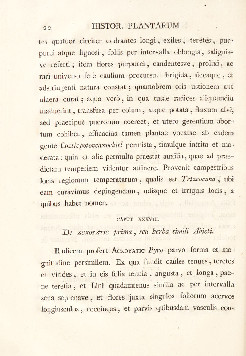 2 2 tes quatuor circiter dodrantes longi, exiles, teretes, pur- purei atque lignosi, foliis per intervalla oblongis, salignis- ve referti; item flores purpurei, candentesve , prolixi, ac rari universo fere caulium procursu. Frigida, siccaque, et adstringenti natura constat 5 quamobrem oris ustionem aut ulcera curat; aqua vero, in qua tusae radices aliquamdiu maduerint, transfusa per colum, atque potata, fluxum alvi, sed praecipue puerorum coercet, et utero gerentium abor- tum cohibet, efficacius tamen plantae vocatae ab eadem gente CoztkpotoncaxocUtl permista, simulque intrita et ma- cerata: quin et alia permulta praestat auxilia, quae ad prae- dictam temperiem videntur attinere. Provenit campestribus locis regionum temperatarum , qualis est Tetzcocana , ubi eam curavimus depingendam, udisque et irriguis locis, a quibus habet nomen. CAPUT XXXVIII. De acxotatic prima, seu herba simili Abieti. V Radicem profert Acxoyatic Pyro parvo forma et ma- gnitudine persimilem. Ex qua fundit caules tenues, teretes et virides, et. in eis folia tenuia , angusta , et longa , pae- ne teretia, et Lini quadamtenus similia ac per intervalla sena septenave, et flores juxta singulos foliorum acervos longiusculos, coccineos, et parvis quibusdam vasculis con-