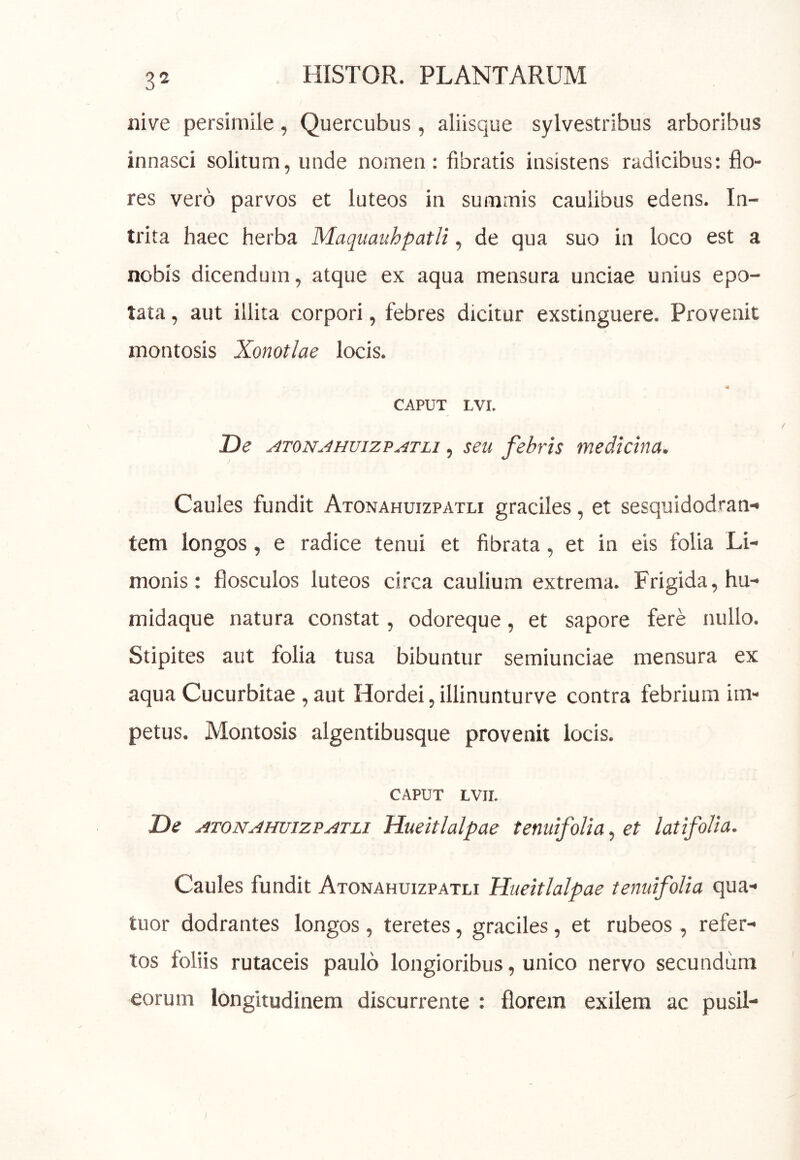 nive persimile, Quercubus, aliisque sylvestribus arboribus innasci solitum, unde nomen: fibratis insistens radicibus: flo- res vero parvos et luteos in summis caulibus edens. In- trita haec herba Maquauhpatli, de qua suo in loco est a nobis dicendum, atque ex aqua mensura unciae unius epo- tata, aut illita corpori, febres dicitur exstinguere. Provenit montosis Xonotlae locis. CAPUT LVI. De ATONAHuizp^-iTLi, seu febris medicina. Caules fundit Atonahuizpatli graciles, et sesquidodran-» tem longos, e radice tenui et fibrata, et in eis folia Li- monis: flosculos luteos circa caulium extrema. Frigida, hu- midaque natura constat, odoreque, et sapore fere nullo. Stipites aut folia tusa bibuntur semiunciae mensura ex aqua Cucurbitae , aut Hordei,illinunturve contra febrium im- petus. Montosis algentibusque provenit locis. CAPUT LVU. De ATONAHUIZPATLI Hucitlalpae tenuifoUa, et latifolia. Caules fundit Atonahuizpatli Hucitlalpae tenuifoUa qua- tuor dodrantes longos, teretes, graciles, et rubeos, refer- tos foliis rutaceis paulo longioribus, unico nervo secundum eorum longitudinem discurrente : florem exilem ac pusil-