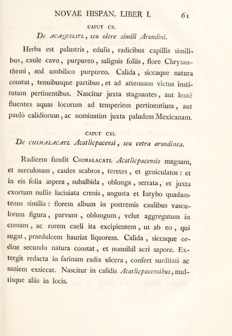 CAPUT CX. De ACAQviLiTL^ scu olcrc simili Arundini. Herba est palustris, edulis, radicibus capillis simili- bus , caule cavo, purpureo, salignis foliis, flore Chrysan- themi , sed umbilico purpureo. Calida, siccaque natura constat, tenuibusque partibus, et ad attenuans victus insti- tutum pertinentibus. Nascitur juxta stagnantes, aut lente fluentes aquas locorum ad temperiem pertinentium, aut paulo calidiorum, ac nominatim juxta paludem Mexicanam. CAPUT CXI. De CHiMALACATL AcutUcpacensi ^ seu cetra arundinea. Radicem fundit Chimalacatl Acatlicpacensis magnam, et surculosam , caules scabros, teretes, et geniculatos : et in eis folia aspera , subalbida , oblonga , serrata, et juxta exortum nullis- laciniata crenis, angusta et Intybo quadam- tenus similia: florem album in postremis caulibus vascu- lorum figura, parvum , oblongum, velut aggregatum in comam, ac rorem caeli ita excipientem, ut ab eo , qui sugat, praedulcem hauriat liquorem. Calida , siccaque or- dine secundo natura constat, et nonnihil acri sapore. Ex- tergit redacta in farinam radix ulcera, confert surditati ac saniem exsiccat. Nascitur in calidis Acatlicpacensibus, mul- tisque aliis in locis.