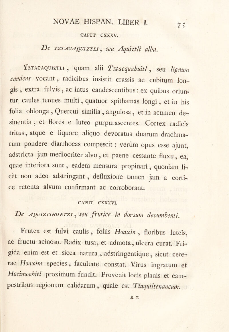 75 CAPUT CXXXV. De rzT^cAQxnzTLi ^ seu Aquhtli alba. Yztacaquiztli , quam alii Tztacquahuitl, seu lignum candens vocant, radicibus insistit crassis ac cubitum lon- gis , extra fulvis, ac intus candescentibus: ex quibus orium tur caules tenues multi, quatuor spithamas longi, et in his folia oblonga , Quercui similia, angulosa, et in acumen de- sinentia , et flores e luteo purpurascentes. Cortex radicis tritus, atque e liquore aliquo devoratus duarum drachma- rum pondere diarrhoeas compescit: verum opus esse ajunt, adstricta jam mediocriter alvo, et paene cessante fluxu, ea, quae interiora sunt, eadem mensura propinari, quoniam li- ck non adeo adstringant, defluxione tamen jam a corti- ce retenta alvum confirmant ac corroborant. CAPUT cxxxvr. De ^QuizTiHOETzi ^ seu frutice in dorsum decumbenti. Frutex est fulvi caulis, foliis Hoaxin , floribus luteis, ac fructu acinoso. Radix tusa, et admota, ulcera curat. Fri- gida enim est et sicca natura , adstringentique, sicut cete- rae Hoaxim species, facultate constat. Virus ingratum et Hoeimochitl proximum fundit. Provenit locis planis et cam- pestribus regionum calidarum, quale est Tlaquiltenancum,