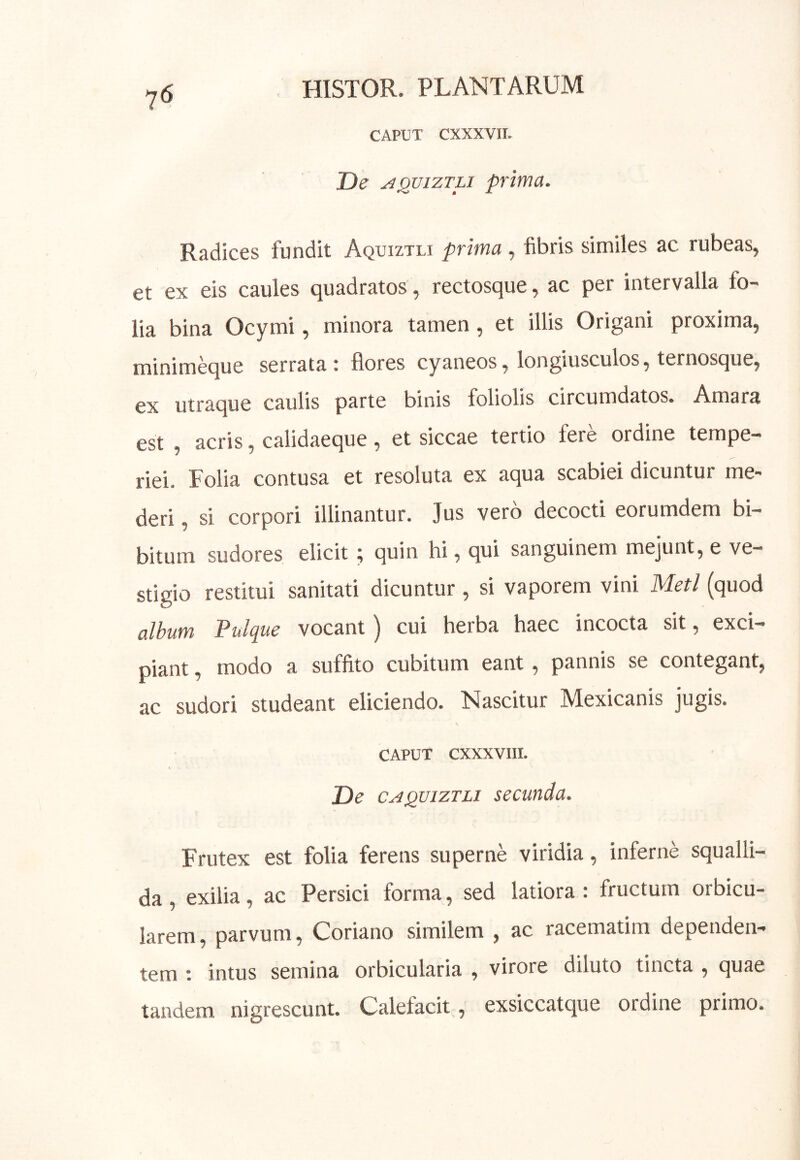 7^ CAPUT CXXXVII. De ^QUizTLi prima. Radices fundit Aqijiztli prima, libris similes ac rubeas, et ex eis caules quadratos , rectosque, ac per intervalla fo- lia bina Ocymi, minora tamen, et illis Origani proxima, minimeque serrata: flores cyaneos, longiusculos, ternosque, ex utraque caulis parte binis foliolis circumdatos. Amara est , acris, calidaeque, et siccae tertio fere ordine tempe- riei. Folia contusa et resoluta ex aqua scabiei dicuntur me- deri , si corpori illinantur. Jus vero decocti eorumdem bi- bitum sudores elicit ; quin hi, qui sanguinem mejunt, e ve- stigio restitui sanitati dicuntur , si vaporem vini Meti (quod album Pulque vocant) cui herba haec incocta sit, exci- piant , modo a suffito cubitum eant, pannis se contegant, ac sudori studeant eliciendo. Nascitur Mexicanis jugis. \ CAPUT CXXXVIII. De c^QVizTLi secunda. Frutex est folia ferens superne viridia, inferne squalli- da, exilia, ac Persici forma, sed latiora: fructum orbicu- larem , parvum, Coriano similem , ac racematim dependen- tem : intus semina orbicularia , virore diluto tincta , quae tandem nigrescunt. Calefacit, exsiccatque ordine primo.