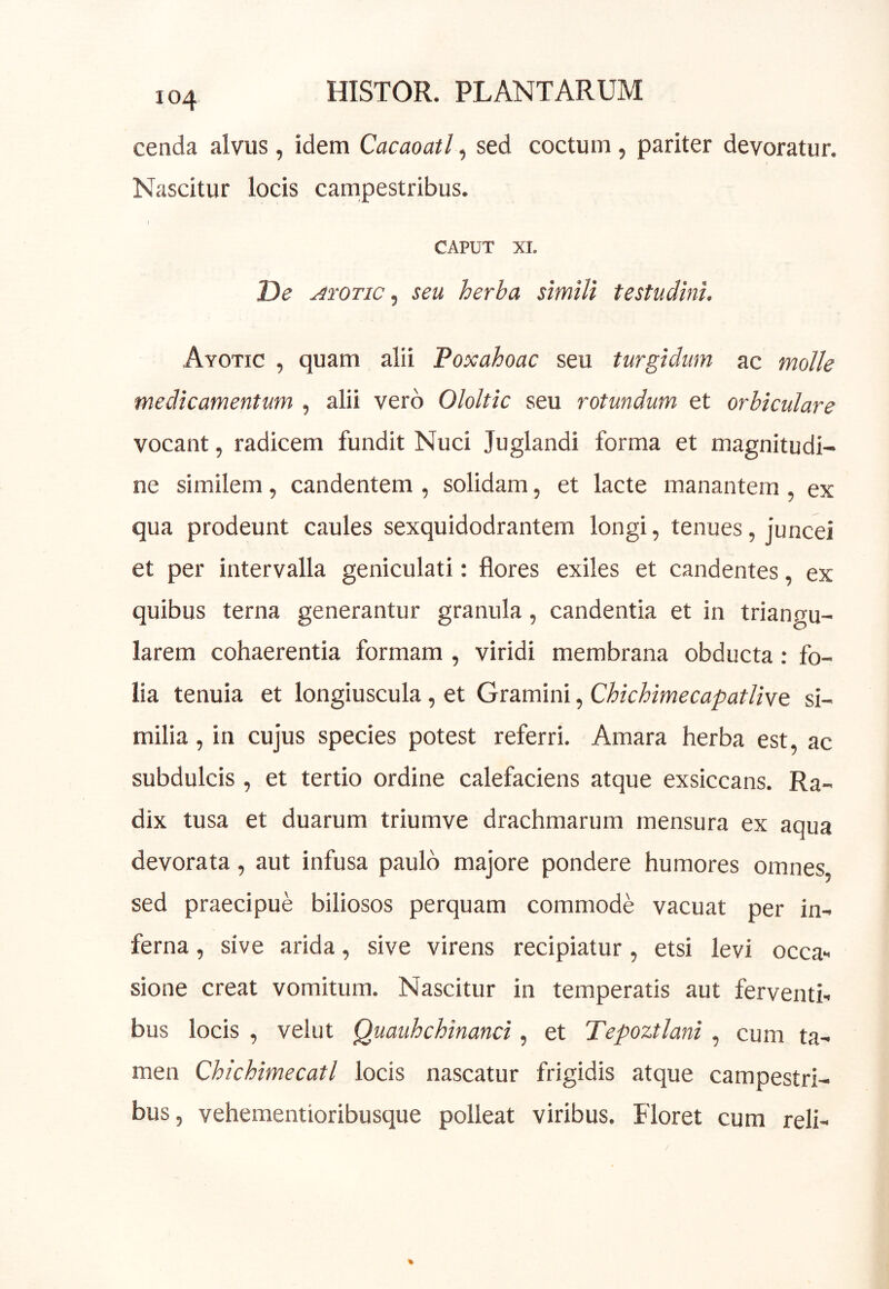 cenda alvus, idem Cacaoatl ^ sed coctum , pariter devoratur. Nascitur locis campestribus. 1 CAPUT XI. De AroTic ^ seu herba simili testudini. Ayotic , quam alii Poxahoac seu turgidum ac molle medicamentum , alii vero Ololtic seu rotundum et orbiculare vocant, radicem fundit Nuci Juglandi forma et magnitudi- ne similem, candentem , solidam, et lacte manantem , ex qua prodeunt caules sexquidodrantem longi, tenues, juncei et per intervalla geniculati: flores exiles et candentes, ex quibus terna generantur granula, candentia et in triangu- larem cohaerentia formam , viridi membrana obducta; fo- lia tenuia et longiuscula, et Gramini, Chichimecapatli^t si- milia , in cujus species potest referri. Amara herba est, ac subdulcis , et tertio ordine calefaciens atque exsiccans. Ra- dix tusa et duarum triumve drachmarum mensura ex aqua devorata, aut infusa paulo majore pondere humores omnes, sed praecipue biliosos perquam commode vacuat per in- ferna , sive arida, sive virens recipiatur, etsi levi occa- sione creat vomitum. Nascitur in temperatis aut ferventi- bus locis , velut Quauhchinanci, et Tepoztlani , cum ta- men Chichimecatl locis nascatur frigidis atque campestri- bus, vehementioribusque polleat viribus. Floret cum reli-