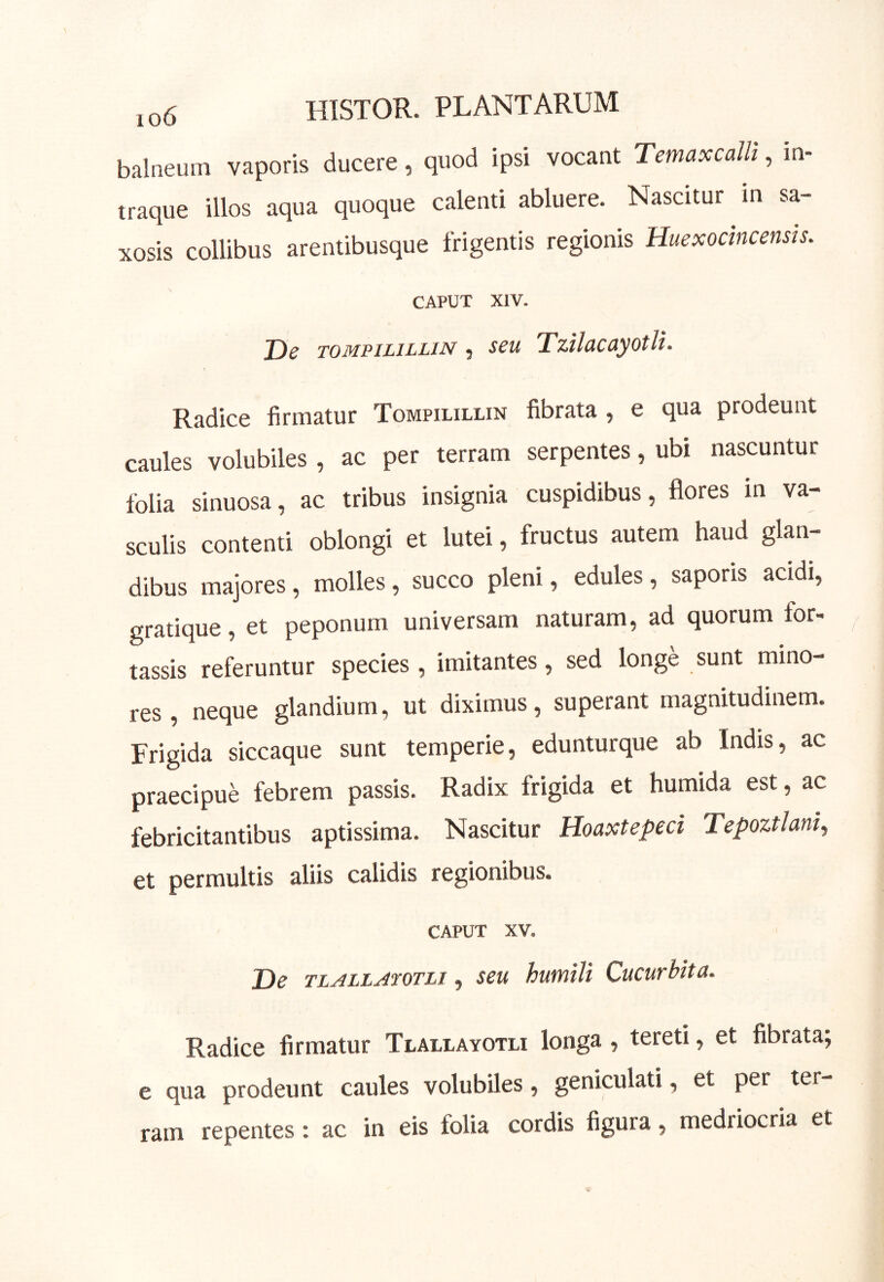 balneum vaporis ducere, quod ipsi vocant Temaxcalli, in- traque illos aqua quoque calenti abluere. Nascitur in sa- xosis collibus arentibusque frigentis regionis Huexocincensis. CAPUT XIV. J)e TOMPiLiLLiN 5 seu Tzilacuyotli. Radice firmatur Tompilillin fibrata , e qua prodeunt caules volubiles , ac per terram serpentes, ubi nascuntur folia sinuosa, ac tribus insignia cuspidibus, flores m va- sculis contenti oblongi et lutei, fructus autem haud glan- dibus majores, molles, succo pleni, edules, saporis acidi, gratique, et peponum universam naturam, ad quorum for- tassis referuntur species, imitantes, sed longe sunt mino- res , neque glandium, ut diximus, superant magnitudinem. Frigida siccaque sunt temperie, edunturque ab Indis, ac praecipue febrem passis. Radix frigida et humida est, ac febricitantibus aptissima. Nascitur Hoaxtepeci Tepoztlam^ et permultis aliis calidis regionibus. CAPUT XV. De TLALLAroTLi, seu humili Cucurbita. Radice firmatur Tlallayotli longa, tereti, et fibrata; e qua prodeunt caules volubiles, geniculati, et per ter- ram repentes: ac in eis folia cordis figura, medriocria et