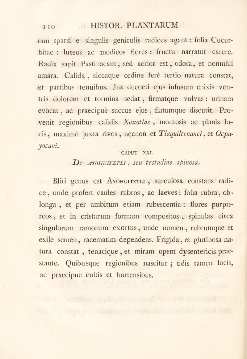 ram sparsi e singulis geniculis radices agant: folia Cucur- bitae : luteos ac modicos flores: fructu narratur carere. Radix sapit Pastinacam, sed acrior est, odora, et nonnihil amara. Calida , siccaque ordine fere tertio natura constat, et partibus tenuibus. Jus decocti ejus infusum enixis ven- tris dolorem et tormina sedat , firmatque vulvas: urinam evocat, ac praecipue succus ejus, flatumque discutit. Pro- venit regionibus calidis Xoxotlae , montosis ac planis lo- cis , maxime juxta rivos, necnon et Tlaquiltenand, et Ocpa- yocani. CAPUT XXI. . De ^roHuiTZTLi, seu testudine spinosa. Bliti genus est Ayohuitztli , surculosa constans radi- ce , unde profert caules rubros, ac laeves: folia rubra, ob- longa , et per ambitum etiam rubescentia: flores purpu- reos , et in cristarum formam compositos , spinulas circa singulorum ramorum exortus, unde nomen , rubrumque et exile semen, racematim dependens. Frigida, et glutinosa na- tura constat , tenacique, et miram opem dysentericis prae- stante. Quibusque regionibus nascitur ; udis tamen locis, ac praecipue cultis et hortensibus.