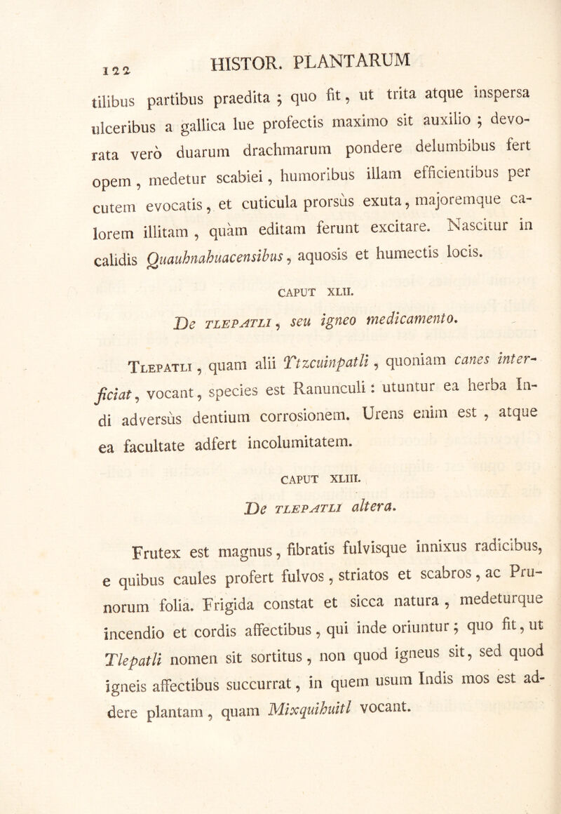 tilibus partibus praedita ; quo fit, ut trita atque inspersa ulceribus a gallica lue profectis maximo sit auxilio ; devo- rata vero duarum drachmarum pondere delumbibus fert opem, medetur scabiei, humoribus illam efficientibus per cutem evocatis, et cuticula prorsus exuta, majoremque ca- lorem illitam , quam editam ferunt excitare. Nascitur in calidis Quauhnahuacensibus, aquosis et humectis locis. CAPUT XLII. De TLEP^TLi ^ seu igneo medicamento. Tlepatli , quam alii TtzcuinpatU , quoniam canes inter- jiciat , vocant, species est Ranunculi: utuntur ea herba In- di adversus dentium corrosionem. Urens enim est , atque ea facultate adfert incolumitatem. CAPUT XLIII. De tlepatli altera. Frutex est magnus, fibratis fulvisque innixus radicibus, e quibus caules profert fulvos, striatos et scabros, ac Pru- norum folia. Frigida constat et sicca natura , medeturque incendio et cordis affectibus, qui inde oriuntur; quo fit, ut Tlepatli nomen sit sortitus, non quod igneus sit, sed quod igneis affectibus succurrat, in quem usum Indis mos est ad- dere plantam, quam Mixquihuitl vocant.