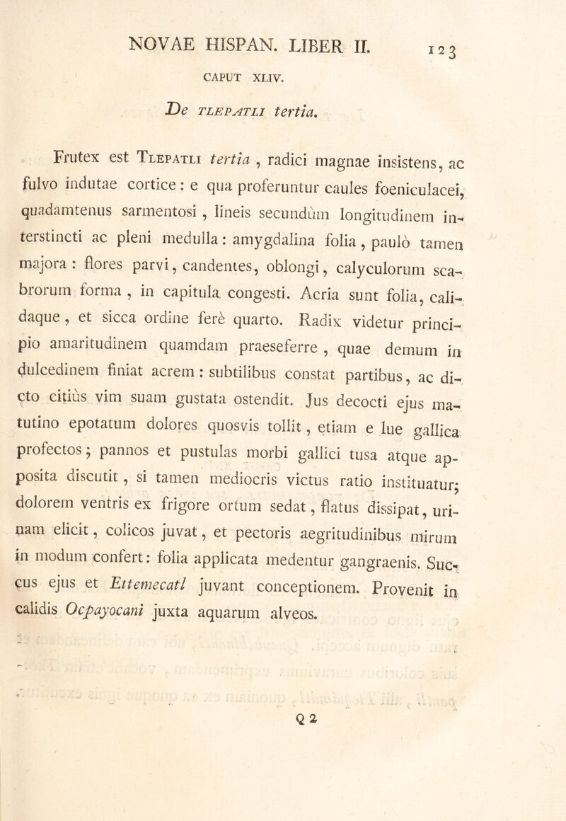 123 CAPUT XLIV. De TLEPATLi tertia. Fiutcx est Tlepatli tertia ^ radici magnae insistens, ac fulvo indutae cortice, e c}ua proferuntur caules foeniculacei, quadamtenus sarmentosi , lineis secundum longitudinem in- terstincti ac pleni medulla: amygdalina folia , paulo tamen majora; flores parvi, candentes, oblongi, calyculorum sca- brorum forma , in capitula, congesti. Acria sunt folia, cali- daque , et sicca ordine fere quarto. Radix videtur princi- pio amaritudinem quamdam praeseferre , quae demum in (^ulcedinem finiat acrem: subtilibus constat partibus, ac di- cto citius vim suam gustata ostendit. Jus decocti ejus ma- tutino epotatum dolores quosvis tollit, etiam e lue gallica profectos y pannos et pustulas morbi gallici tusa atque ap-’ posita discutit, si tamen mediocris victus ratio instituaturj dolorem ventris ex frigore ortum sedat, flatus dissipat, uri- nam elicit, colicos juvat, et pectoris aegritudinibus mirum in modum confert; folia applicata medentur gangraenis. Suc- cus ejus et Ettemecatl juvant conceptionem. Provenit in calidis Ocpayocani juxta aquarum alveos. Q2