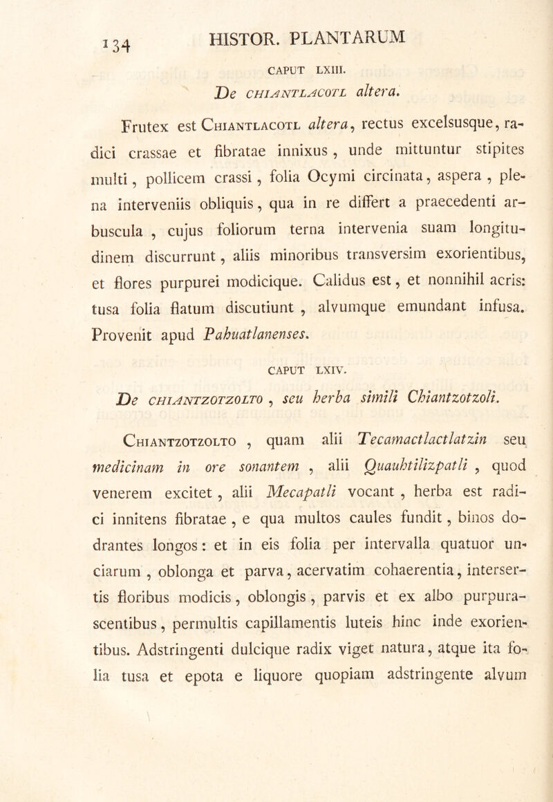 CAPUT LXIII. De CHi^NTL^coTL altera. Frutex est Chiantlacotl altera., rectus excelsusque, ra- dici crassae et fibratae innixus, unde mittuntur stipites multi, pollicem crassi, folia Ocymi circinata, aspera, ple- na interveniis obliquis, qua in re difiert a praecedenti ar- buscula , cujus foliorum terna intervenia suam longitu- dinem discurrunt, aliis minoribus transversim exorientibus, et flores purpurei modicique. Calidus est, et nonnihil acris: tusa folia flatum discutiunt , alvumque emundant infusa. Provenit apud Pahuatlanenses. CAPUT LXIV. De CHIANTZOTZOLTO , scu herba simili Chiantzotzoli. Chiantzotzolto , quam alii Tecamactlactlatzin seu medicinam in ore sonantem , alii Quauhtilizpatli , quod venerem excitet, alii Mecapatli vocant, herba est radi- ci innitens fibratae , e qua multos caules fundit, binos do- drantes longos: et in eis folia per intervalla quatuor un- ciarum , oblonga et parva, acervatim cohaerentia, interser- tis floribus modicis, oblongis, parvis et ex albo purpura- scentibus , permultis capillamentis luteis hinc inde exorien- tibus. Adstringenti dulcique radix viget natura, atque ita fo- lia tusa et epota e liquore quopiam adstringente alvum