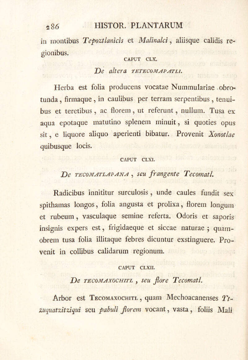 in montibus Tepoztlanids et Malinalci, aliisque calidis re- gionibus. CAPUT CLX. De altera tetecom^patli. Herba est folia producens vocatae Nummulariae >obro« tunda, firmaque, in caulibus per terram serpentibus, tenui- bus et teretibus, ac florem, ut referunt, nullum. Tusa ex aqua epotaque matutino splenem minuit, si quoties opus sit, e liquore aliquo aperienti bibatur. Provenit Xomtlae quibusque locis. CAPUT CLXI. De TECOMATLAPANA , seu frangente Te comati. Radicibus innititur surculosis, unde caules fundit sex spithamas longos, folia angusta et prolixa, florem longum et rubeum, vasculaque semine referta. Odoris et saporis insignis expers est, frigidaeque et siccae naturae j quam- obrem tusa folia illitaque febres dicuntur exstinguere. Pro- venit in collibus calidarum regionum. CAPUT CLXII. De TECOMAxocHiTL , seu fore Tecomatl. Arbor est Tecomaxochitl , quam Mechoacanenses Tt- zuquatzitziqui seu pabuli forem vocant, vasta, foliis Mali