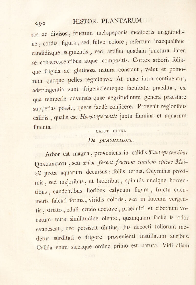 SOS ac divisos, fructum melopeponis mediocris magnitudi- ne cordis figura, sed fulvo colore , refertum inaequalibus candidisque segmentis, sed artifici quadam junctura inter se cohaerescentibus atque compositis. Cortex arboris folia- que frigida ac glutinosa natura constant, velut et pomo- rum quoque pelles tegminave. At quae intra continentur, adstringentia sunt frigefacienteque facultate praedita, ex qua temperie adversus quae aegritudinum genera praestare suppetias possit, queas facile conjicere. Provenit regionibus calidis qualis est Hoaxtepecensis juxta flumina et aquarum fluenta. CAPUT CLXXI. De QUAUHXILOTL. Arbor est magna, proveniens in calidis Tautepecensibus Quauhxilotl , seu arbor ferens fructum similem spicae Mai~ zii juxta aquarum decursus; .foliis ternis, Ocyminis proxi- mis sed majoribus, et latioribus, spinulis undique horren- tibus , candentibus floribus calycum figura , fructu cucu- meris falcati forma, viridis coloris, sed in luteum vergen- tis , striato , eduli crudo coctove , praedulci et zibethum vo- catum mira similitudine olente, quamquam facile is odor evanescat, nec persistat diutius. Jus decocti foliorum me- detur surditati e frigore provenienti instillatum auribus. Calida enim siccaque ordine primo est natura. Vidi aliam