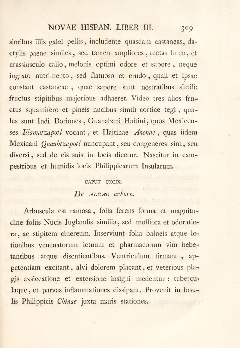 sioribus illis galei pellis, includente quasdam castaneas, da- ctylis paene similes , sed tamen ampliores , tectas luteo, et crassiusculo callo, melonis optimi odore et sapore , neque ingrato nutrimento, sed Ilatuoso et crudo , quali et ipsae constant castaneae , quae sapore sunt nostratibus simili: fructus stipitibus majoribus adhaeret. Video, tres alios fru- ctus squamifero et pineis nucibus simili cortice tegi, qua- les sunt Indi Doriones, Guanabani Haitini, quos Mexicen- ses lUamatzapotl vocant, et Haitinae Anonae, quas iidem Mexicani Quauhtzapotl nuncupant, seu congeneres sint, seu diversi, sed de eis suis in locis dicetur. Nascitur in cam- pestribus et humidis locis Philippicarum Insularum. CAPUT CXCIX. De arbore. Arbuscula est ramosa, folia ferens forma et magnitu- dine foliis Nucis Juglandis similia, sed molliora et odoratio- ra, ac stipitem cinereum. Inserviunt folia balneis atque lo- tionibus venenatorum ictuum et pharmacorum vim hebe- tantibus atque discutientibus. Ventriculum firmant , ap- petentiam excitant, alvi dolorem placant ^ et veteribus pla- gis exsiccatione et extersione insigni medentur : tubercu- laque , et parvas inflammationes dissipant. Provenit in Insu- lis Philippicis Chinae juxta maris stationes.