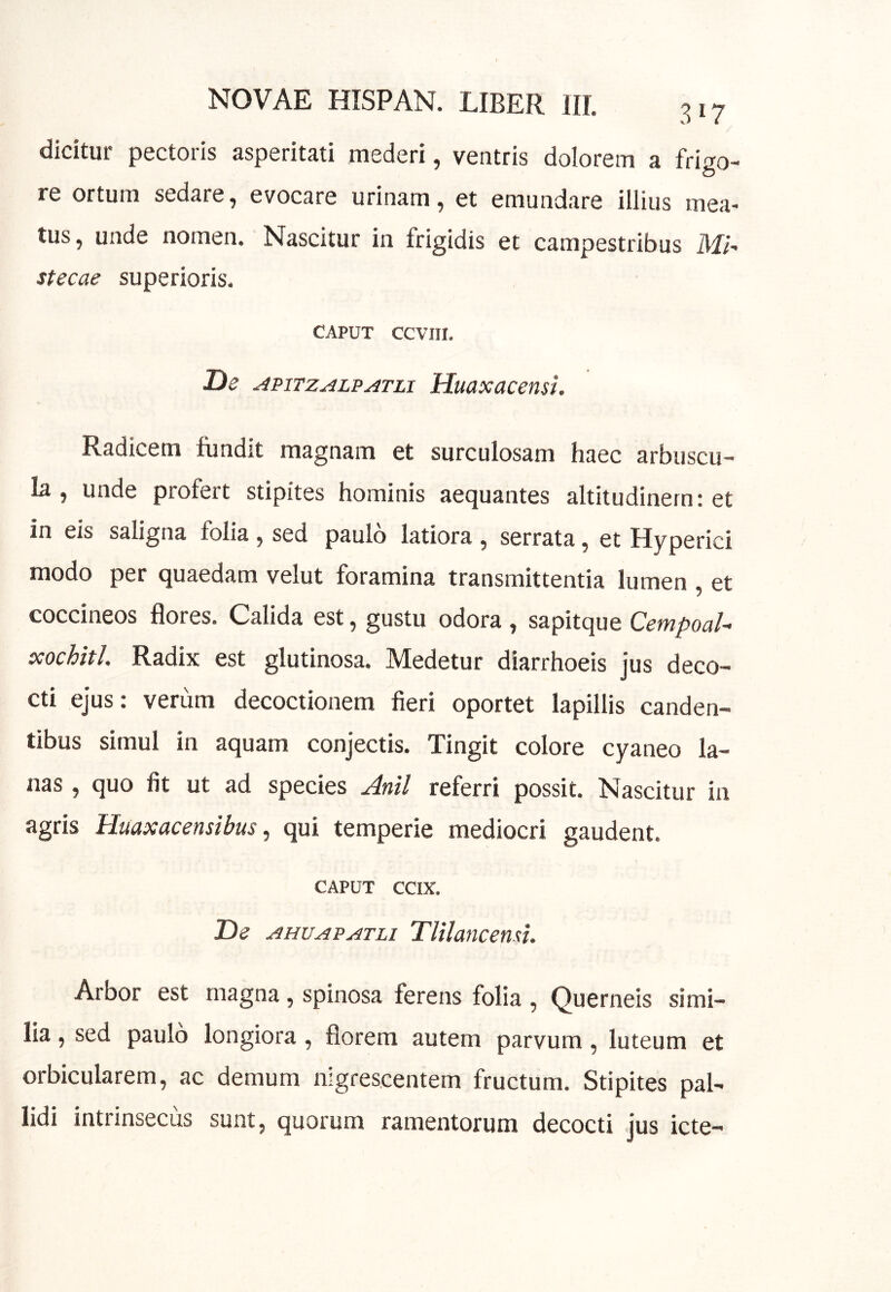 dicitur pectoris asperitati mederi, ventris dolorem a frigo- re ortum sedare, evocare urinam, et emundare illius mea- tus, unde nomen. Nascitur in frigidis et campestribus Mi- stecae superioris. CAPUT CCVIII. De APiTzALPATLi Huaxacensi. Radicem fundit magnam et surculosam haec arbuscu- la , unde profert stipites hominis aequantes altitudinem: et in eis saligna folia, sed paulo latiora, serrata, et Hyperici modo per quaedam velut foramina transmittentia lumen , et coccineos flores. Calida est, gustu odora , sapitque CempoaU xochitl. Radix est glutinosa. Medetur diarrhoeis jus deco- cti ejus: verum decoctionem fieri oportet lapillis canden- tibus simul in aquam conjectis. Tingit colore cyaneo la- nas , quo fit ut ad species Anii referri possit. Nascitur in agris Huaxacensibus ^ qui temperie mediocri gaudent. CAPUT ccix. De AHUAPATLi Tlilancensi. Arbor est magna, spinosa ferens folia, Querneis simi- lia , sed paulo longiora , florem autem parvum, luteum et orbicularem, ac demum nigrescentem fructum. Stipites pal- lidi intrinsecus sunt, quorum ramentorum decocti jus icte-