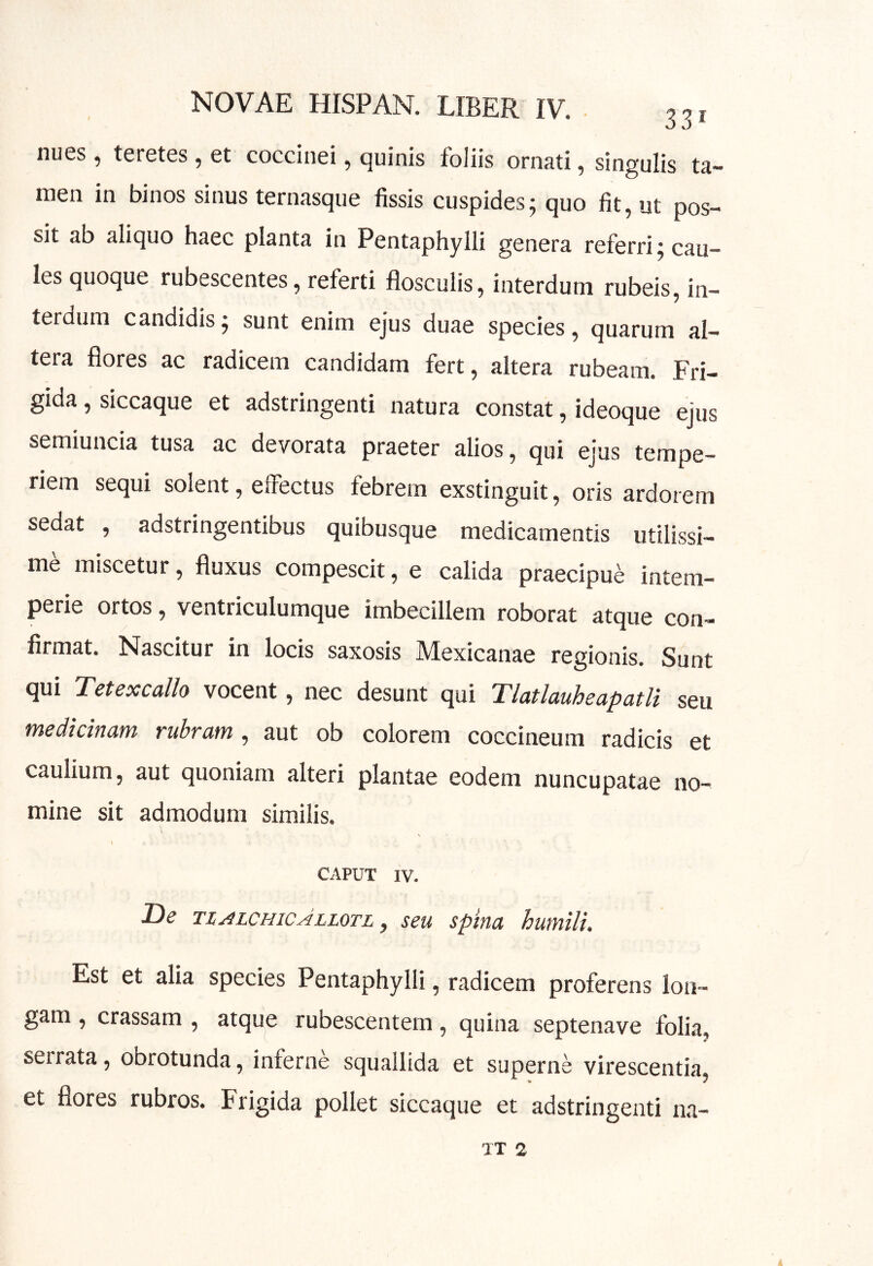 nu6s, t6r6tes ^ et coccinei ^ cjuinis loliis ornati, singulis ta- men in binos sinus ternasque fissis cuspides; quo fit, ut pos- sit ab aliquo haec planta in Pentaphylli genera referri; cau- les quoque rubescentes, referti flosculis, interdum rubeis, in- terdum candidis; sunt enim ejus duae species, quarum al- tera flores ac radicem candidam fert, altera rubeam. Fri- gida , siccaque et adstringenti natura constat, ideoque ejus semiuncia tusa ac devorata praeter alios, qui ejus tempe- riem sequi solent, effectus febrem exstinguit, oris ardorem sedat , adstringentibus quibusque medicamentis utilissi- me miscetur, fluxus compescit, e calida praecipue intem- perie ortos, ventriculumque imbecillem roborat atque con- firmat. Nascitur in locis saxosis Mexicanae regionis. Sunt qui Tetexcallo vocent, nec desunt qui TlatlauheapatU seu medicinam rubram , aut ob colorem coccineum radicis et caulium, aut quoniam alteri plantae eodem nuncupatae no- mine sit admodum similis. V t CAPUT IV. Dc TIALCHICALLOTL y SCU SplTlCL hwHllu Est et alia species Pentaphylli, radicem proferens lon- gam , crassam , atque rubescentem, quina septenave folia^ serrata, obrotunda, inferne squallida et superne virescentia^ et flores rubros. Frigida pollet siccaque et adstringenti na- TT 2