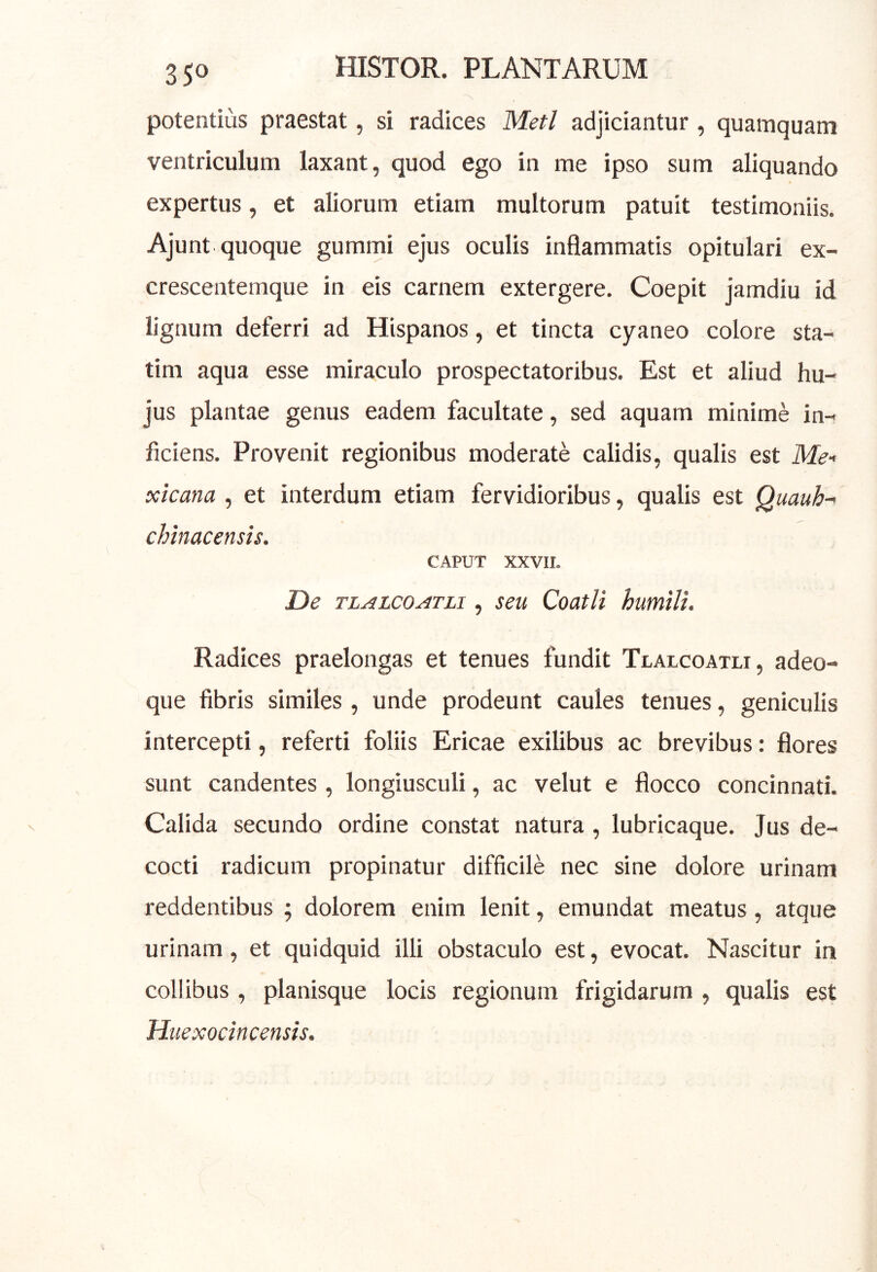 potentius praestat, si radices Meti adjiciantur , quamquam ventriculum laxant, quod ego in me ipso sum aliquando expertus, et aliorum etiam multorum patuit testimoniis. Ajunt quoque gummi ejus oculis inflammatis opitulari ex- crescentemque in eis carnem extergere. Coepit jamdiu id lignum deferri ad Hispanos, et tincta cyaneo colore sta- tim aqua esse miraculo prospectatoribus. Est et aliud hu- jus plantae genus eadem facultate, sed aquam minime in- ficiens. Provenit regionibus moderate calidis, qualis est Me-< xicana , et interdum etiam fervidioribus, qualis est Quauh^ chinacensis. CAPUT xxvii. De TLALCOATLi, seu Coatli humili. Radices praelongas et tenues fundit Tlalcoatli, adeo- que fibris similes , unde prodeunt caules tenues, geniculis intercepti, referti foliis Ericae exilibus ac brevibus: flores sunt candentes , longiusculi, ac velut e flocco concinnati. Calida secundo ordine constat natura , lubricaque. Jus de- cocti radicum propinatur difficile nec sine dolore urinam reddentibus 5 dolorem enim lenit, emundat meatus, atque urinam, et quidquid illi obstaculo est, evocat. Nascitur in collibus, planisque locis regionum frigidarum , qualis est Huexocincensis.