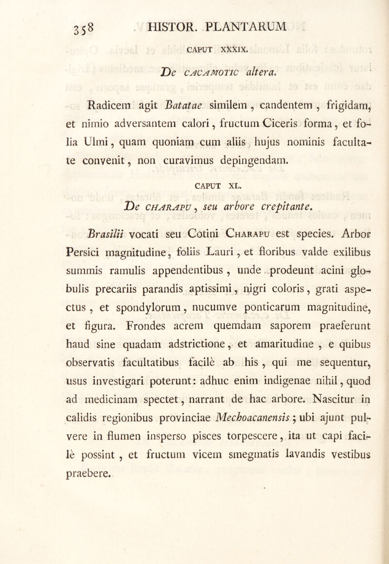 35^ CAPUT XXXIX. De CACAMOTic altera^ Radicem agit Batatae similem, candentem , frigidam, et nimio adversantem calori, fructum Ciceris forma, et fo- lia Ulmi, quam quoniam cum aliis hujus nominis faculta- te convenit, non curavimus depingendam. < CAPUT XL. De CHARAvv ^ seu arbore crepitante. % BrasilH vocati seu Cotini Charapu est species. Arbor Persici magnitudine, foliis Lauri, et floribus valde exilibus summis ramulis appendentibus , unde .prodeunt acini glo- bulis precariis parandis aptissimi, nigri coloris, grati aspe- ctus , et spondylorum, nucumve ponticarum magnitudine, et figura. Frondes acrem quemdam saporem praeferunt haud sine quadam adstrictione ,• et amaritudine , e quibus observatis facultatibus facile ab his, qui me sequentur, usus investigari poterunt; adhuc enim indigenae nihil, quod ad medicinam spectet, narrant de hac arbore. Nascitur in calidis regionibus provinciae Mechoacanensis; ubi ajunt pul- vere in flumen insperso pisces torpescere, ita ut capi faci- le possint , et fructum vicem smegmatis lavandis vestibus praebere.