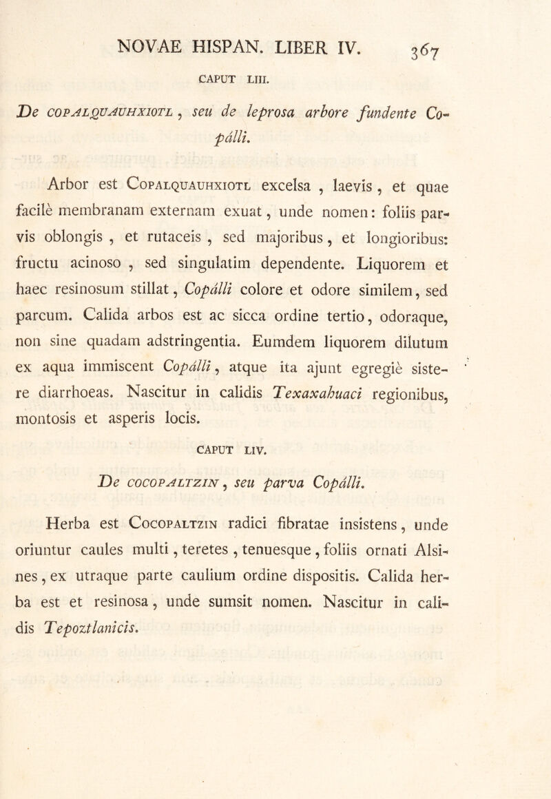 CAPUT LIII. De copALQVAVHxiQTL, seu de leprosa arbore fundente Co- pdlli. Arbor est Copalquauhxiotl excelsa , laevis, et quae facile membranam externam exuat, unde nomen: foliis par- vis oblongis , et rutaceis , sed majoribus, et longioribus: fructu acinoso , sed singulatim dependente. Liquorem et haec resinosum stillat, Copdlli colore et odore similem, sed parcum. Calida arbos est ac sicca ordine tertio, odoraque, non sine quadam adstringentia. Eumdem liquorem dilutum ex aqua immiscent Copdllf atque ita ajunt egregie siste- re diarrhoeas. Nascitur in calidis Texaxahuaci regionibus, montosis et asperis locis. CAPUT LIV. De cocoPALTziN ^ seu parva Copdlli. Herba est Cocopaltzin radici fibratae insistens, unde oriuntur caules multi, teretes, tenuesque, foliis ornati Alsi- nes, ex utraque parte caulium ordine dispositis. Calida her- ba est et resinosa, unde sumsit nomen. Nascitur in cali- dis Tepoztlanicis.