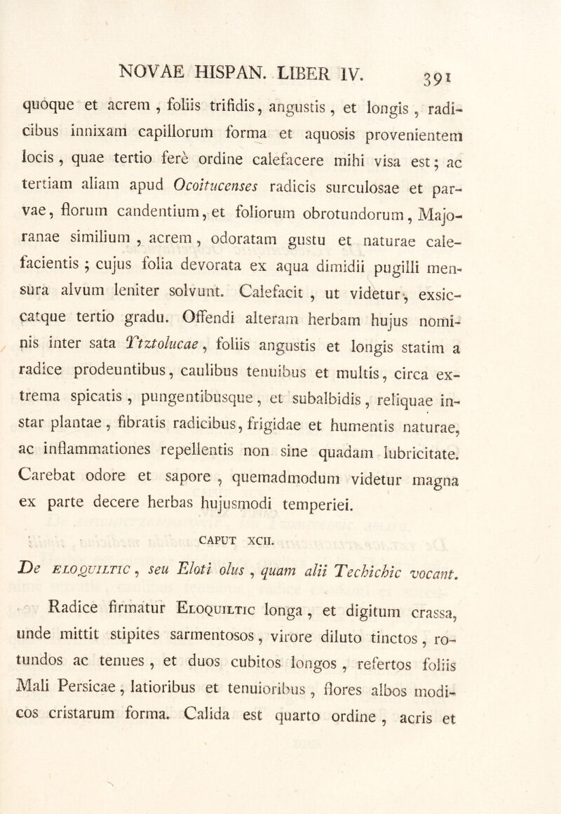 quoque et acrem , foliis trifidis, angustis, et longis , radi- cibus innixam capillorum forma et aquosis provenientem locis, quae tertio fere ordine calefacere mihi visa est; ac tertiam aliam apud Ocoitucenses radicis surculosae et par- vae, florum candentium, et foliorum obrotundorum, Majo- ranae similium , acrem, odoratam gustu et naturae cale- facientis ; cujus folia devorata ex aqua dimidii pugilli men- sura alvum leniter solvunt. Calefacit , ut videtur-, exsic- catque tertio gradu. Offendi alteram herbam hujus nomi- nis inter sata ^tztolucus, foliis angustis et longis statim a radice prodeuntibus, caulibus tenuibus et multis, circa ex- trema spicatis, pungentibusque , et subalbidis , reliquae in- I star plantae, fibratis radicibus, frigidae et humentis naturae, ac inflammationes repellentis non sine quadam lubricitate. Carebat odore et sapore , quemadmodum videtur magna ex parte decere herbas hujusnaodi temperiei. ■ • CAPUT XCII. De ELOQUILTIC, seu EloH olus , quam alii Techichic vocant. Radice firmatur Eloquiltic longa, et digitum crassa, unde mittit stipites sarmentosos, virore diluto tinctos, ro- tundos ac tenues , et duos cubitos longos, refertos foliis Mali Persicae, latioribus et tenuioribus, flores albos modi- cos cristarum forma. Calida est quarto ordine, acris et