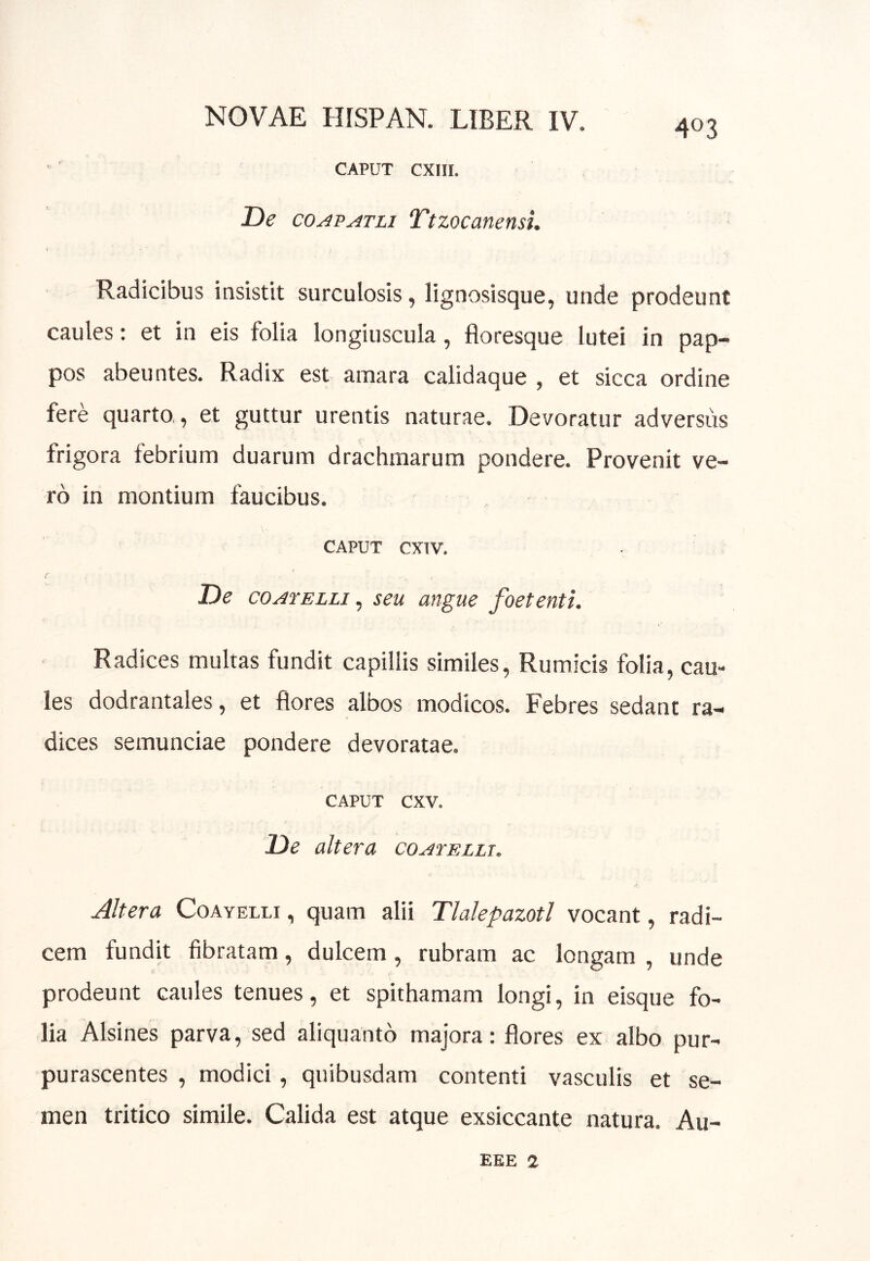 CAPUT CXIII. De coAP^TLi Ttzocanensi. Radicibus insistit surculosis, lignosisque, unde prodeunt caules: et in eis folia longiuscula, floresque lutei in pap- pos abeuntes. Radix est amara calidaque , et sicca ordine fere quarto, et guttur urentis naturae. Devoratur adversus frigora febrium duarum drachmarum pondere. Provenit ve- ro in montium faucibus. CAPUT CXTV. r , De co^rELLJ, seu angue foetenti. Radices multas fundit capillis similes, Rumicis folia, cau- les dodrantales, et flores albos modicos. Febres sedant ra- dices semunciae pondere devoratae. CAPUT cxv. De altera coArEtLx, Altera Coayelli , quam alii Tlalepazotl vocant, radi- cem fundit fibratam, dulcem , rubram ac longam , unde prodeunt caules tenues, et spithamam longi, in eisque fo- lia Alsines parva, sed aliquanto majora: flores ex albo pur- purascentes , modici, quibusdam contenti vasculis et se- men tritico simile. Calida est atque exsiccante natura. Au- EEE 1