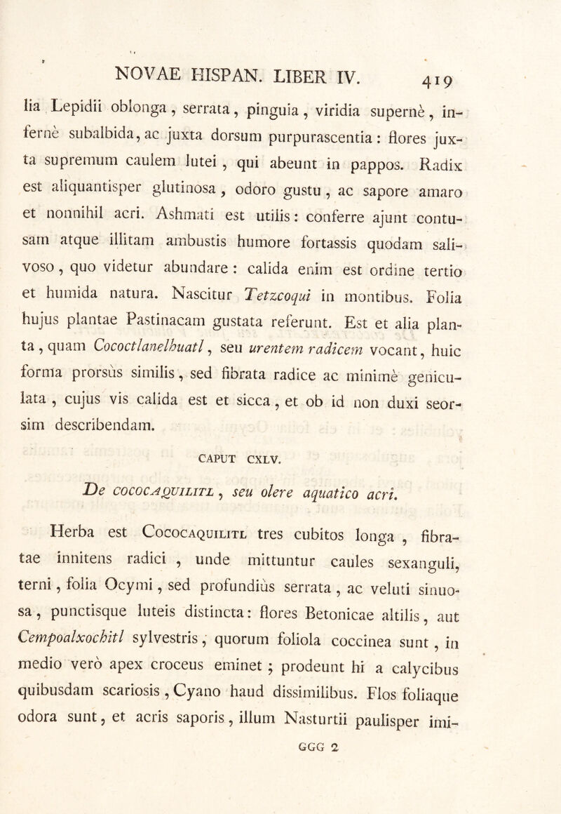 lia ,Lepidii oblonga , serrata, pinguia, viridia superne, in- ferne subalbida, ac juxta dorsum purpurascentia: flores jux- ta supremum caulem lutei, qui abeunt in pappos. Radix est aliquantisper glutinosa , odoro gustu, ac sapore amaro et nonnihil acri. Ashmati est utilis: conferre ajunt contu- sam atque illitam ambustis humore fortassis quodam sali- voso , quo videtur abundare : calida enim est ordine tertio et humida natura. Nascitur Tetzcoqui in montibus. Folia hujus plantae Pastinacam gustata referunt. Est et alia plan- ta, quam Cococtlunelhuatl^ seu urentetn radicctn vocant, huic forma prorsus similis, sed fibrata radice ac minime genicu- lata , cujus vis calida est et sicca, et ob id non duxi seor- sim describendam. CAPUT CXLV. T>e COCOCAQVILITL, seu olere aquatico acri. Herba est Cococaquiutl tres cubitos longa , fibra- tae innitens radici , unde mittuntur caules sexanguli, terni, folia Ocymi, sed profundius serrata , ac veluti sinuo- sa, punctisque luteis distincta: flores Betonicae altilis, aut Cempoalxochitl sylvestris, quorum foliola coccinea sunt, in medio vero apex croceus eminet ; prodeunt hi a calycibus quibusdam scariosis, Cyano haud dissimilibus. Flos foliaque odora sunt, et acris saporis, illum Nasturtii paulisper imi- GGG 1