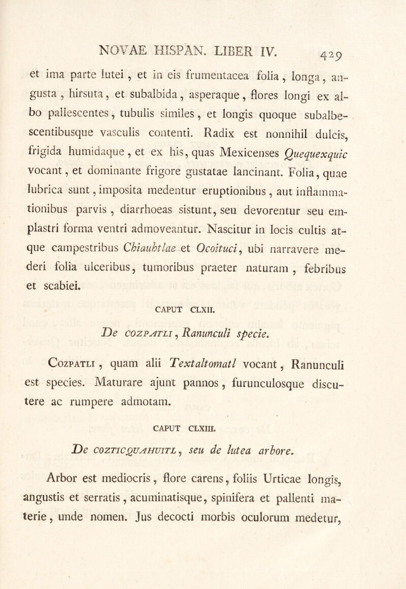 429 et ima parte lutei, et in eis frumentacea folia, longa, an- gusta , hirsuta, et subalbida, asperaque, flores longi ex al- bo pallescentes, tubulis similes, et longis quoque subalbe- scentibusque vasculis contenti. Radix est nonnihil dulcis, frigida humidaque , et ex his, quas Mexicenses Quequexquic vocant, et dominante frigore gustatae lancinant. Folia, quae lubrica sunt, imposita medentur eruptionibus, aut inflamma- tionibus parvis , diarrhoeas sistunt, seu devorentur seu em- plastri forma ventri admoveantur. Nascitur in locis cultis at- que campestribus Chiauhtiae ^ Ocoituci ^ ubi narravere me- deri folia ulceribus, tumoribus praeter naturam, febribus et scabiei. CAPUT CLXir. De cozPATLi, Ranunculi specie. CozpATLi, quam alii Textaltomatl vocant, Ranunculi est species. Maturare ajunt pannos, furunculosque discu- tere ac rumpere admotam. 1 • CAPUT CLXin. De cozTiCQVjiHuiTL^ seu de lutea arbore. Arbor est mediocris, flore carens, foliis Urticae longis, angustis et serratis, acu minatisque, spinifera et pallenti ma- terie, unde nomen. Jus decocti morbis oculorum medetur,