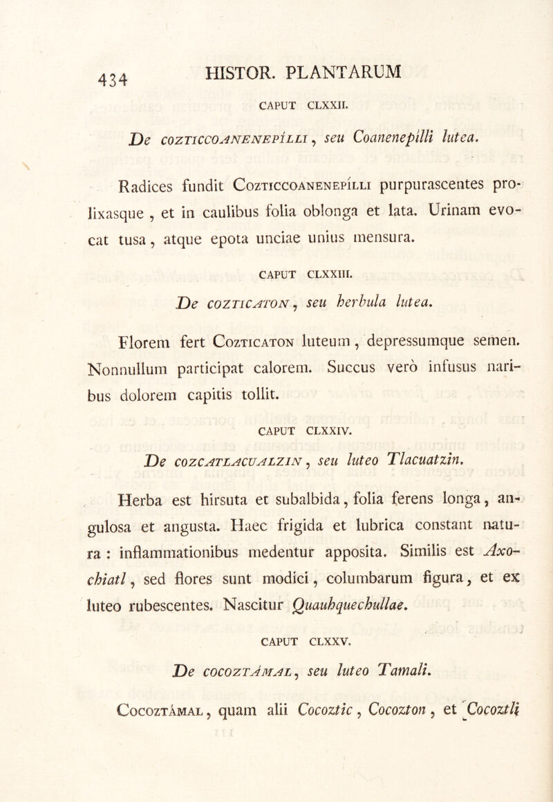 CAPUT CLXXII. De cozTicco^NENEPiLLi ^ seu CoaitenepilU lutea. Radices fundit CozticcoanenepIlli purpurascentes pro- lixasque , et in caulibus folia oblonga et lata. Urinam evo- cat tusa, atque epota unciae unius mensura. CAPUT CLXXllI. De COZTICATON .j seu herbula lutea. Florem fert Cozticaton luteum, depressumque semen. Nonnullum participat calorem. Succus vero infusus nari- bus dolorem capitis tollit. CAPUT CLXXIV. De cozcATLACUALZiN, seu luteo Tlacuatzin. Herba est hirsuta et subalbida, folia ferens longa, an- gulosa et angusta. Haec frigida et lubrica constant natu- ra : inflammationibus medentur apposita. Similis est Axo- chiatl, sed flores sunt modici, columbarum figura, et ex luteo rubescentes. Nascitur Quauhquechullae. CAPUT CLXXV. De cocozTAMAL., seu luteo Tamali. CocoztAmal , quam alii Cocoztic, Cocozton, et Cocoztlf