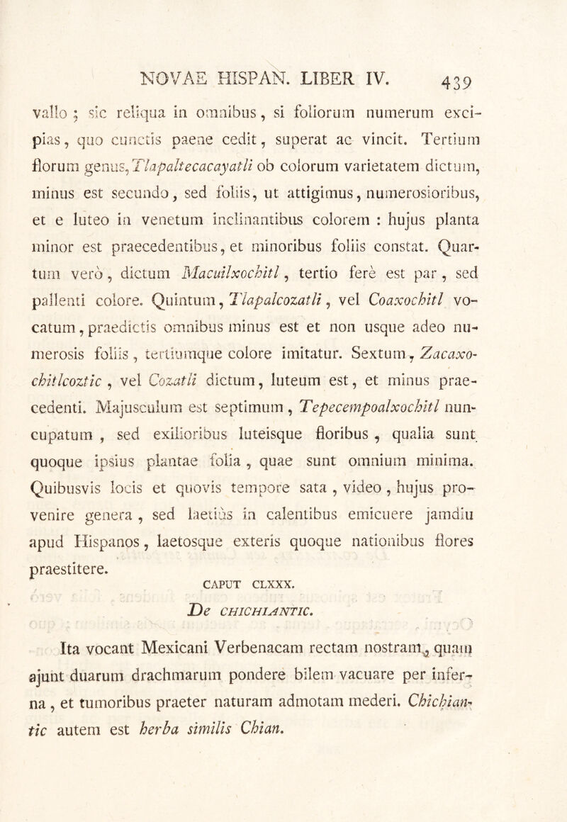 vallo i sic reliqua in omnibus, si foliorum numerum exci- pias, quo cunciiis paene cedit, superat ac vincit. Tertium florum genm^Tiapaltecacayatli ob colorum varietatem dictum, minus est secundo, sed foliis, ut attigimus, numerosioribus, et e luteo in venetum inclinantibus colorem : hujus planta minor est praecedentibus, et minoribus foliis constat. Quar- tum vero, dictum MacuUxochitl, tertio fere est par, sed pallenti colore. Quintum ^ Tlapalcozatli, vel Coaxochitl vo- catum , praedictis omnibus minus est et non usque adeo nu- merosis foliis , tertiumque colore imitatur. Sextum , Zacaxo- / chitlcoztlc , vel Cozatii dictum, luteum est, et minus prae- cedenti. Majusculum est septimum , Tepecempoalxochitl nun- cupatum , sed exilioribus luteisque floribus , qualia sunt « quoque ipsius plantae folia , quae sunt omnium minima._ Quibusvis locis et quovis tempore sata , video , hujus pro- venire genera , sed laetius in calentibus emicuere jamdiu apud Hispanos, laetosque exteris quoque nationibus flores < praestitere. CAPUT CLXXX. De CHICHIANTIC. Ita vocant Mexicani Verbenacam rectam nostram^ quam ajunt duarum drachmarum pondere bilem vacuare per infer- na , et tumoribus praeter naturam admotam mederi. Chiclnan^ tic autem est herba similis Chian.