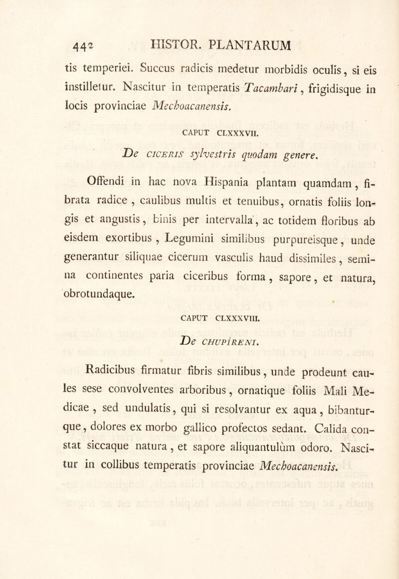 tis temperiei. Succus radicis medetur morbidis oculis, si eis instilleiur. Nascitur in temperatis Tacambari, frigidisque in locis provinciae Mechoacanensis. CAPUT CLXXXVII. De CICERIS sylvestris quodam genere. Offendi in hac nova Hispania plantam quamdam, fi- brata radice , caulibus multis et tenuibus, ornatis foliis lon- gis et angustis, binis per intervalla', ac totidem floribus ab eisdem exortibus, Legumini similibus purpureisque, unde generantur siliquae cicerum vasculis haud dissimiles, semi- na continentes paria ciceribus forma, sapore, et natura, 'obrotundaque. CAPUT CLXXXVTII. De CHUPIRENI. Radicibus firmatur fibris similibus, unde prodeunt cau- les sese convolventes arboribus, ornatique foliis Mali Me- dicae , sed undulatis, qui si resolvantur ex aqua, bibantur- que, dolores ex morbo gallico profectos sedant. Calida con- stat siccaque natura, et sapore aliquantulum odoro. Nasci- tur in collibus temperatis provinciae Mechoacanensis.