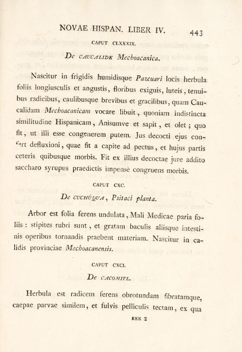 CAPUT CLXXXIX. JDe CAucALIDE Mechoacanica» Nascitur in frigidis humidisque Pazcuari locis herbula foliis longiusculis et angustis, floribus exiguis, luteis, tenui- bus radicibus, caulibusque brevibus et gracilibus, quam Cau- calidam Mechoacanicam vocare libuit, quoniam indistincta similitudine Hispanicam, Anisumve et sapit, et olet 5 quo fit, ut illi esse congenerem putem. Jus decocti ejus con- ^eit defluxioni, quae fit a capite ad pectus, et hujus partis ceteris quibusque morbis. Fit ex illius decoctae jure addito saccharo syrupus praedictis impense congruens morbis. CAPUT cxc. y De cuch6sju^ , F sit ad planta. i Arbor est folia ferens undulata, Mali Medicae paria fo- liis : stipites rubri sunt, et gratam baculis aliisque intesti- nis operibus tornandis praebent materiam. Nascitur in ca- lidis provinciae Mechoacanensis. CAPUT CXCI. De CACOMITL. Herbula est radicem ferens obrotundam fibratamque caepae parvae similem, et fulvis pelliculis tectam, ex qua