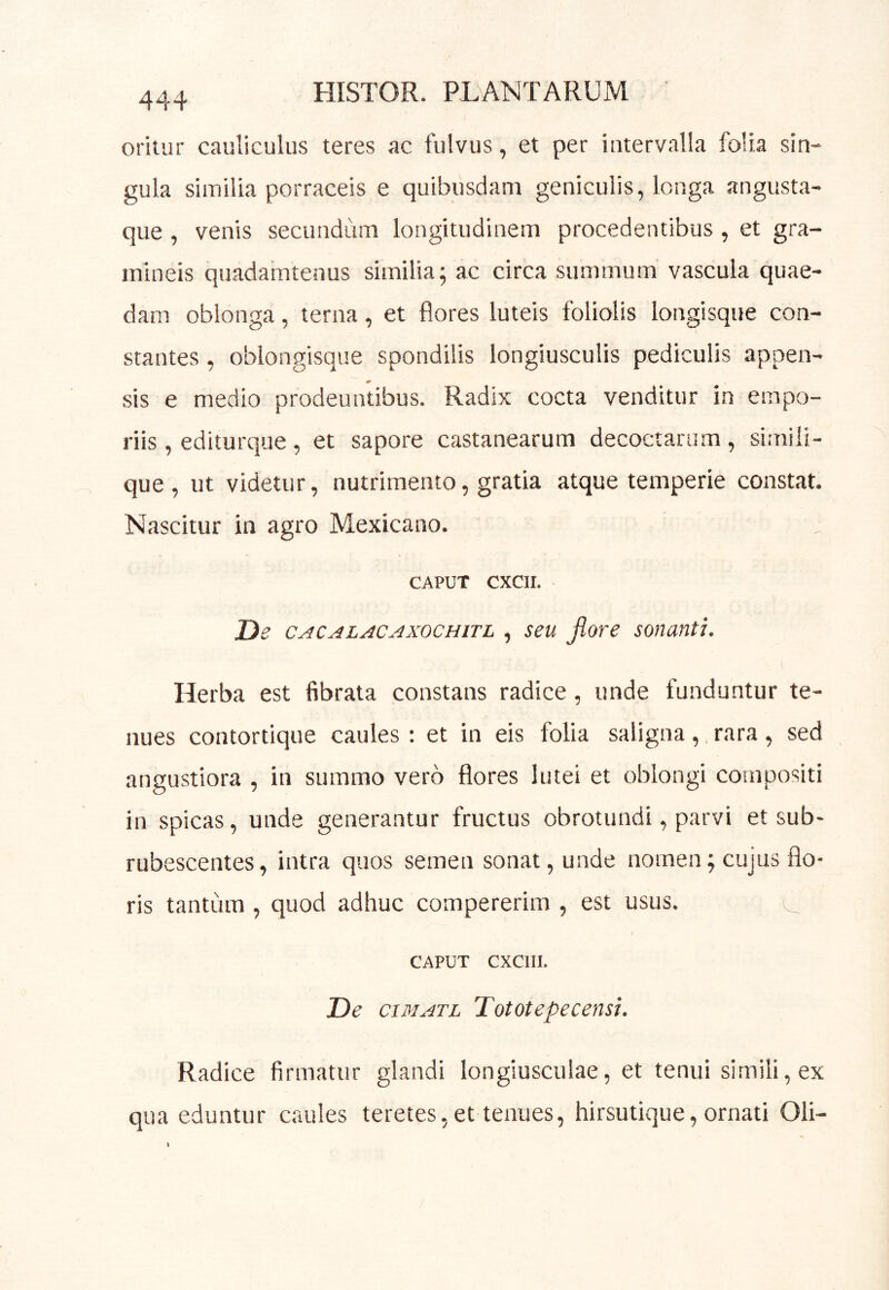 oritur caiiliculus teres ac fulvus, et per intervalla folia sin- gula similia porraceis e quibusdam geniculis, longa angusta- que , venis secundum longitudinem procedentibus , et gra- mineis quadamtenus similia; ac circa summum vascula quae- dam oblonga, terna, et flores luteis foliolis longisque con- stantes , oblongisque spondilis longiusculis pediculis appen- sis e medio prodeuntibus. Radix cocta venditur in empo- riis , editurque, et sapore castanearum decoctarum, simili- que , ut videtur, nutrimento, gratia atque temperie constat. Nascitur in agro Mexicano. CAPUT CXCII. De CACALACAxocHiTL , seu jlore sonanti. Herba est fibrata constans radice, unde funduntur te- nues contortique caules: et in eis folia saligna,, rara , sed angustiora , in summo vero flores lutei et oblongi compositi in spicas, unde generantur fructus obrotundi, parvi et sub- rubescentes, intra quos semen sonat, unde nomen; cujus flo- ris tantiim , quod adhuc compererim , est usus. CAPUT CXCIII. De ciMATL Tototepecensi. Radice firmatur glandi longiusculae, et tenui simili, ex qua eduntur caules teretes, et tenues, hirsutkque, ornati Oli-