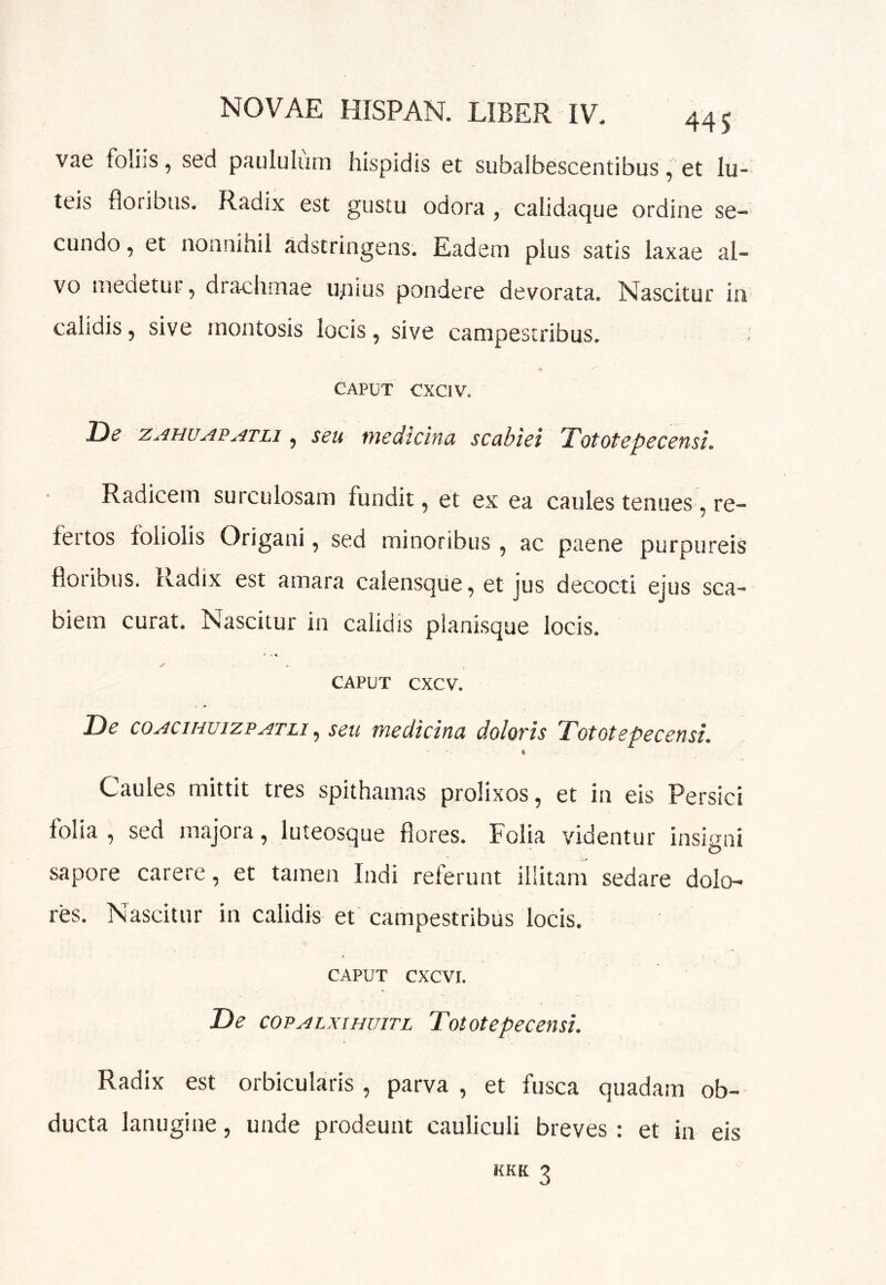 vae foliis, sed paululum hispidis et siibalbescentibus, et lu- teis floribus. Radix est gustu odora , calidaque ordine se- cundo, et nonnihil adstringens. Eadem plus satis laxae al- vo medetur, drachmae u;uus pondere devorata. Nascitur ia calidis, sive montosis locis, sive campestribus. CAPUT CXCIV. De ZAHUAPATLi, seu medicina scabiei Tototepecensi. Radicem surculosam fundit, et ex ea caules tenues, re- feitos foliolis Origani, sed minoribus , ac paene purpureis floribus. Radix est amara calensque, et jus decocti ejus sca- biem curat. Nascitur in calidis pianisque locis. CAPUT CXCV. De coAciHUizpATLi^ scu medicina doloris Tototepecensi. Caules mittit tres spithamas prolixos, et in eis Persici folia, sed majora, luteosque flores. Folia videntur insigni sapore carere, et tamen Indi referunt illitam sedare dolo- res. Nascitur in calidis et campestribus locis. CAPUT CXCVI. De coFALxiHuiTL Tototcpeceusi, Radix est orbicularis, parva, et fusca quadam ob- ducta lanugine, unde prodeunt cauliculi breves: et in eis