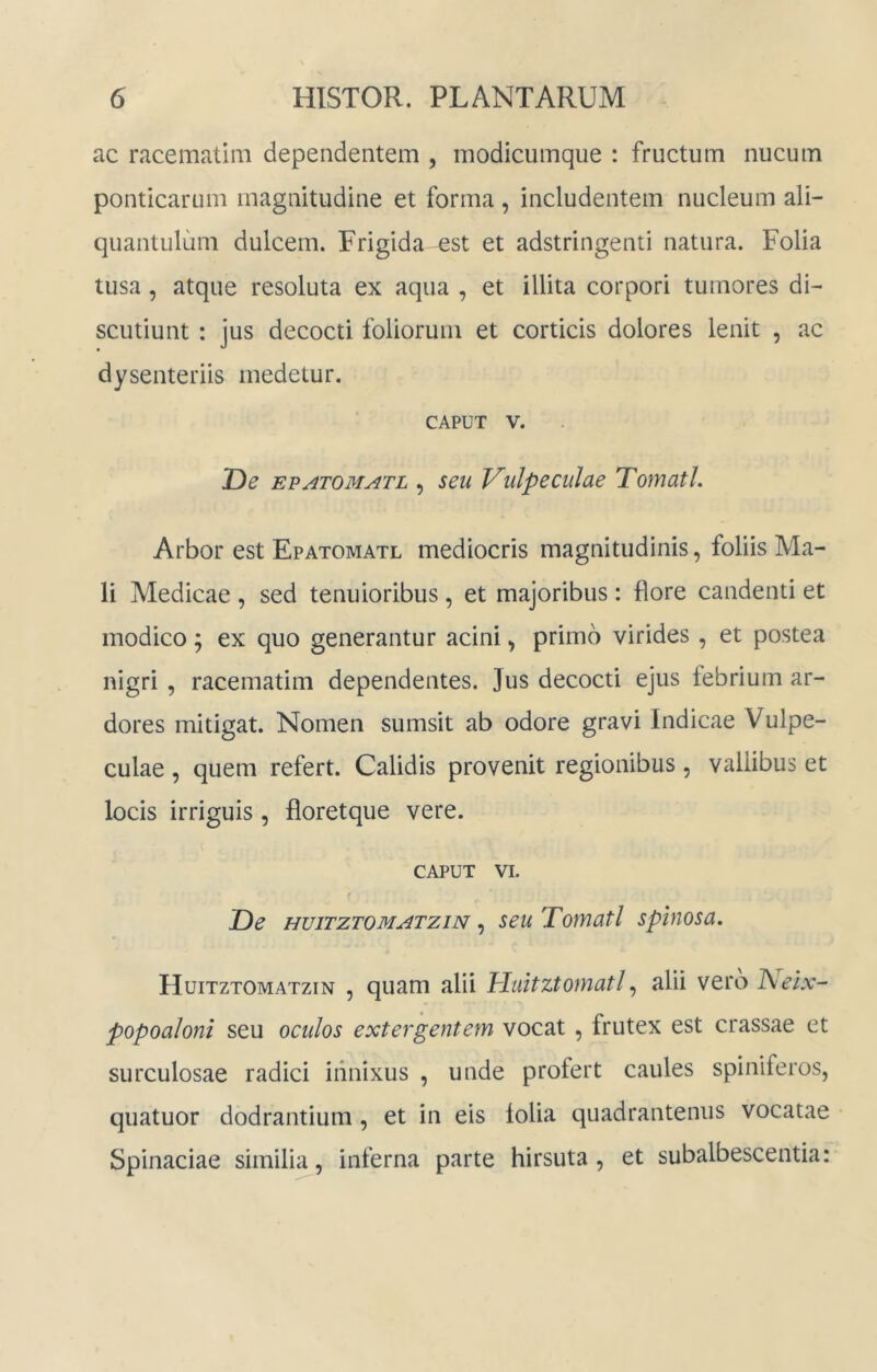 ac racematim dependentem , modicumque : fructum nucum ponticarum magnitudine et forma , includentem nucleum ali- quantulum dulcem. Frigida est et adstringenti natura. Folia tusa, atque resoluta ex aqua , et illita corpori tumores di- scutiunt : jus decocti foliorum et corticis dolores lenit , ac dysenteriis medetur. CAPUT V. De EVATOMATL , SCII Vulpeculue TomatL Arbor est Epatomatl mediocris magnitudinis, foliis Ma- li Medicae , sed tenuioribus , et majoribus: flore candenti et modico; ex quo generantur acini, primo virides, et postea nigri, racematim dependentes. Jus decocti ejus febrium ar- dores mitigat. Nomen sumsit ab odore gravi Indicae Vulpe- culae , quem refert. Calidis provenit regionibus , vallibus et locis irriguis, floretque vere. CAPUT VI. De HuiTZTOMATziN, seu Tomatl spinosa. Huitztomatzin 5 quam alii Huitztornatl, alii vero ISieix- popoaloni seu oculos extergentem vocat, frutex est crassae et surculosae radici innixus , unde profert caules spiniferos, quatuor dodrantium, et in eis lolia quadrantenus vocatae • Spinaciae similia, inferna parte hirsuta , et subalbescentia: